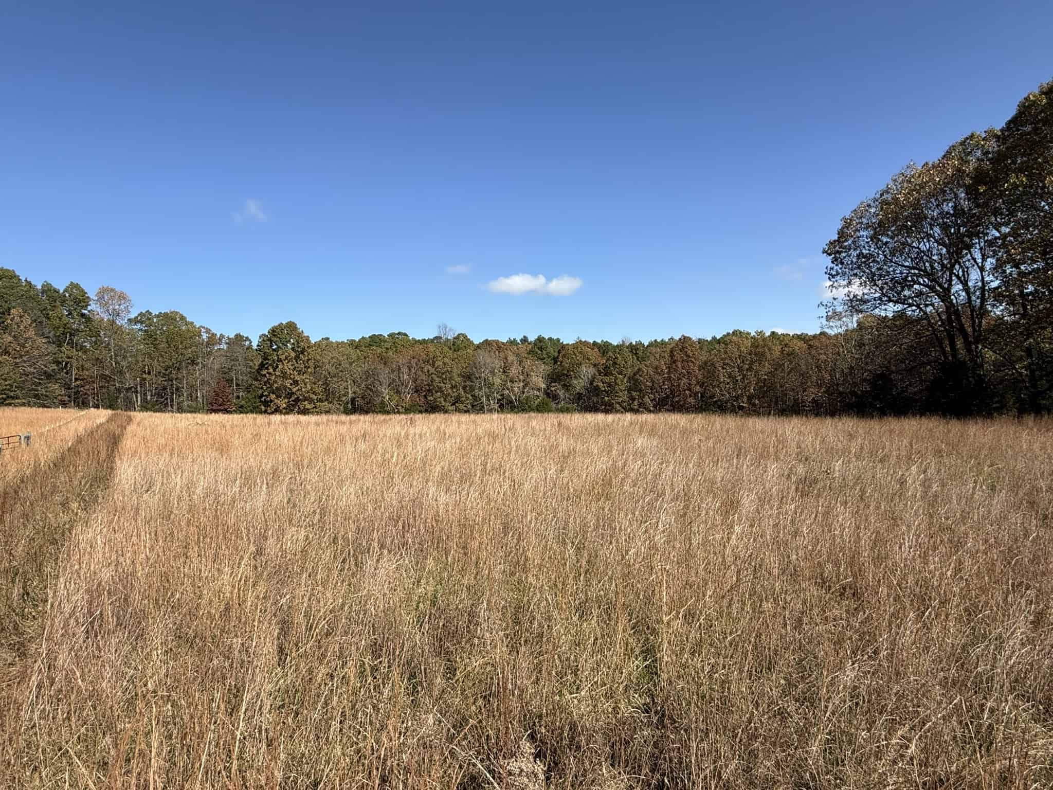 HUNTING AND RECREATIONAL LAND FOR SALE IN ARKANSAS