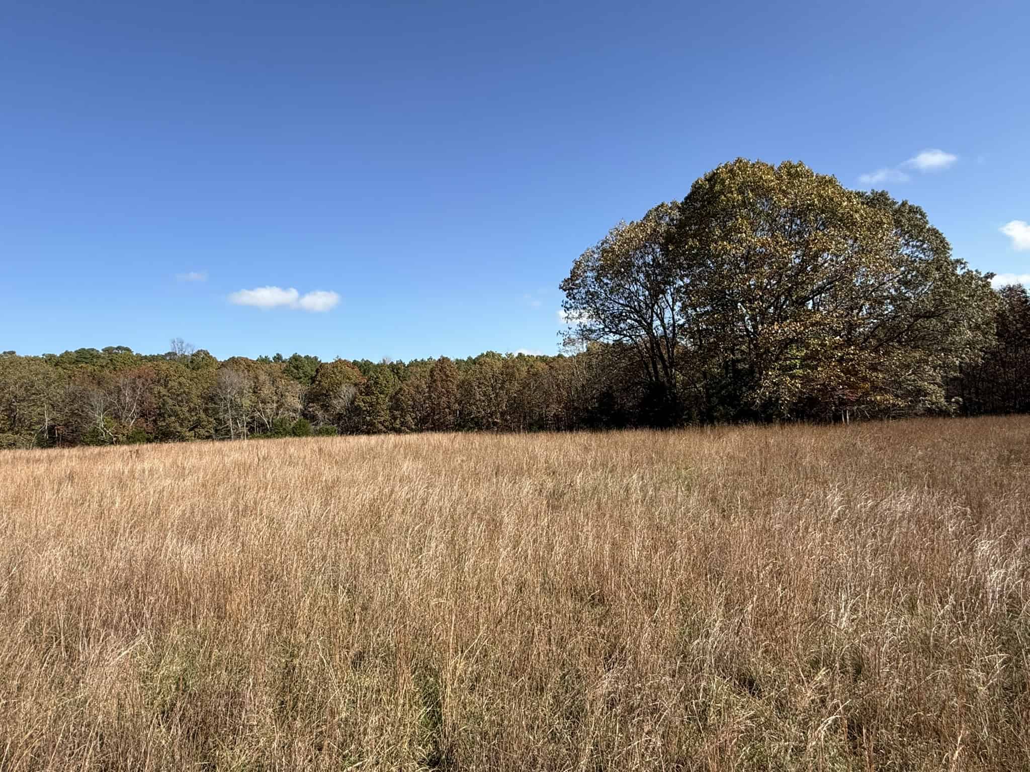 HUNTING AND RECREATIONAL LAND FOR SALE IN ARKANSAS