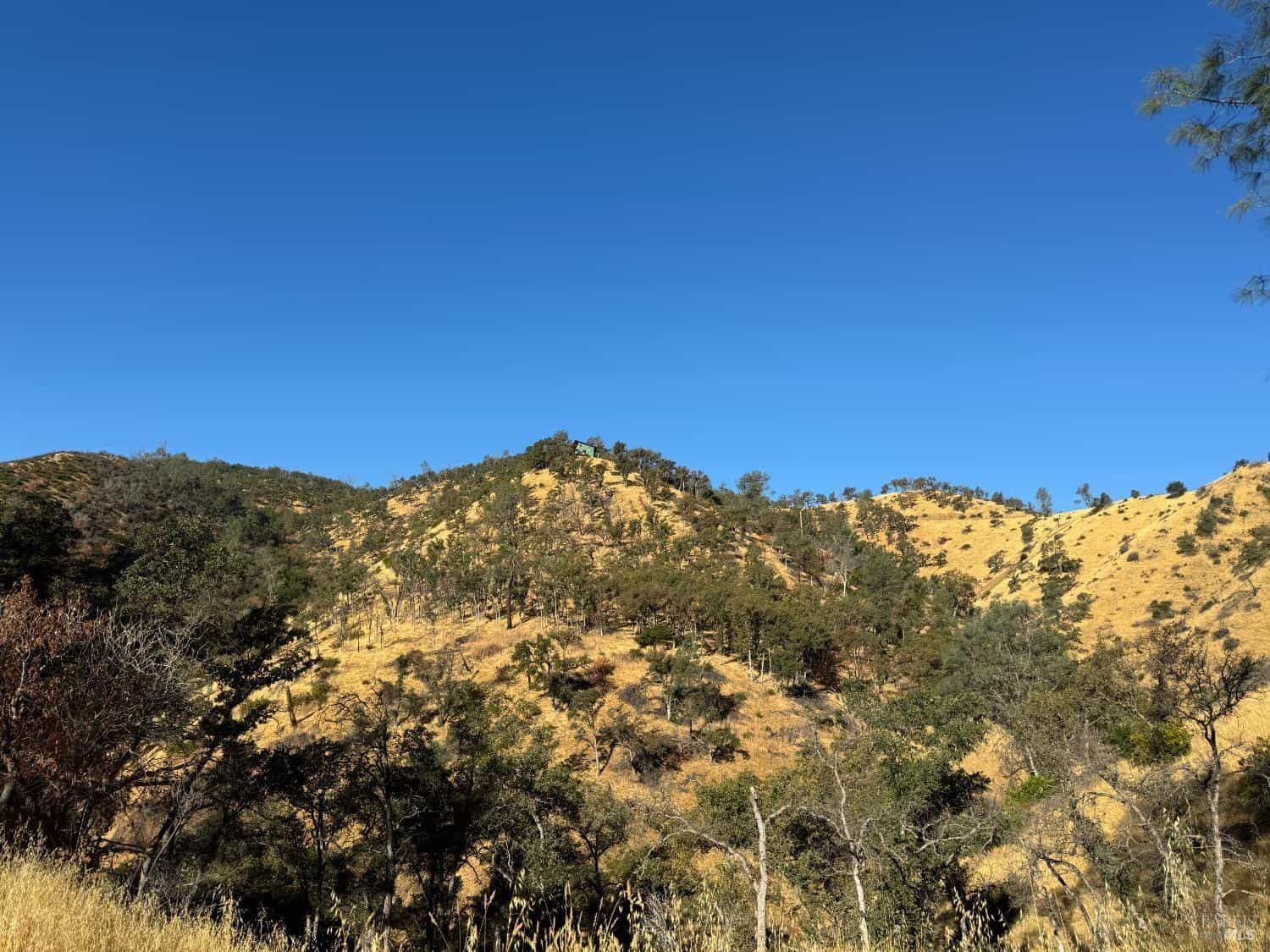 Napa CA Hunting Land for Sale
