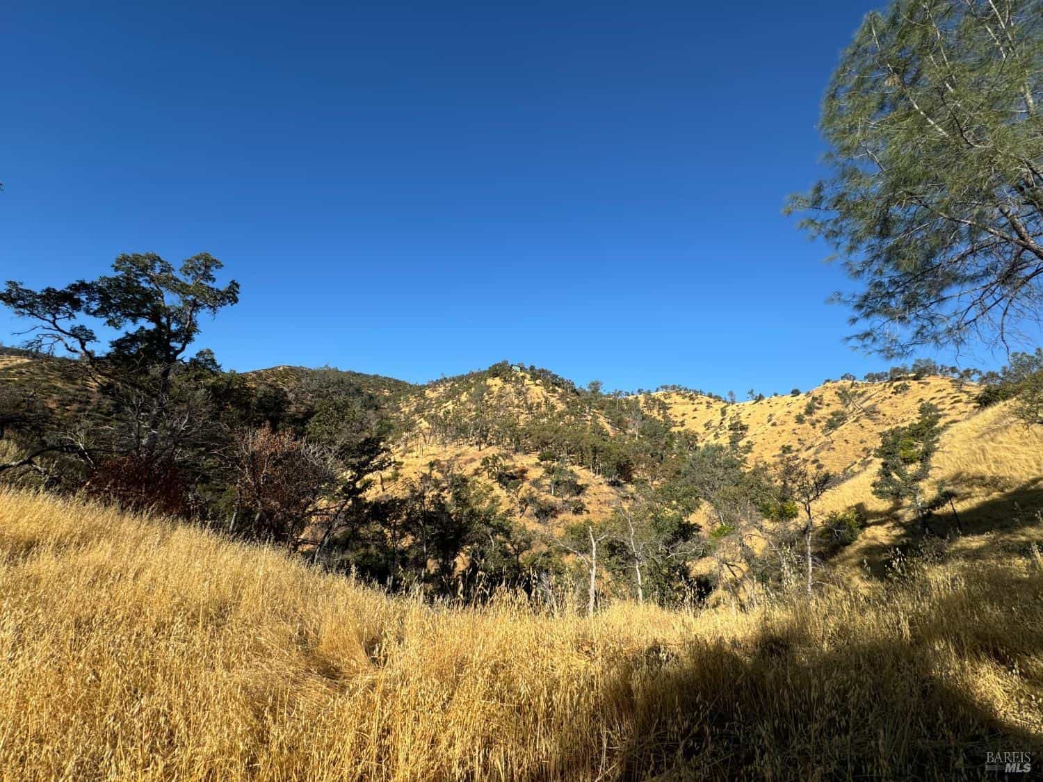 Napa CA Hunting Land for Sale