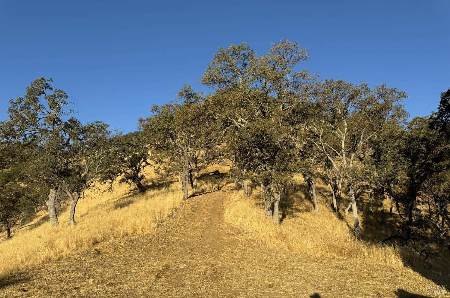 Napa CA Hunting Land for Sale