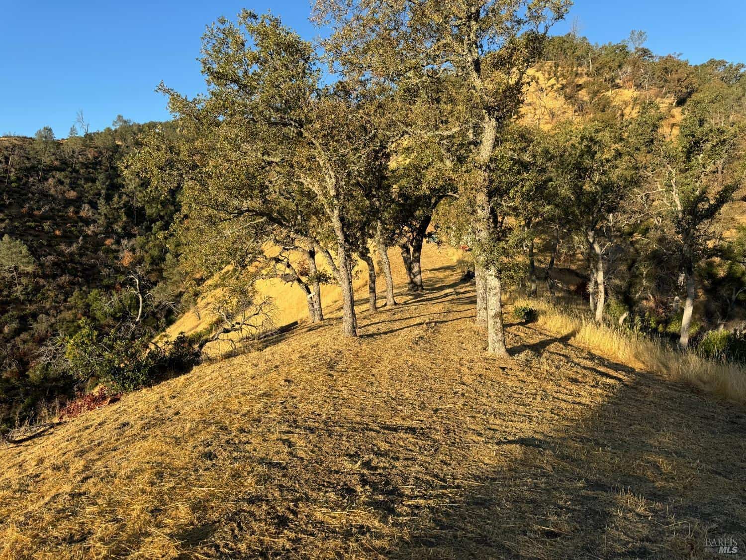 Napa CA Hunting Land for Sale