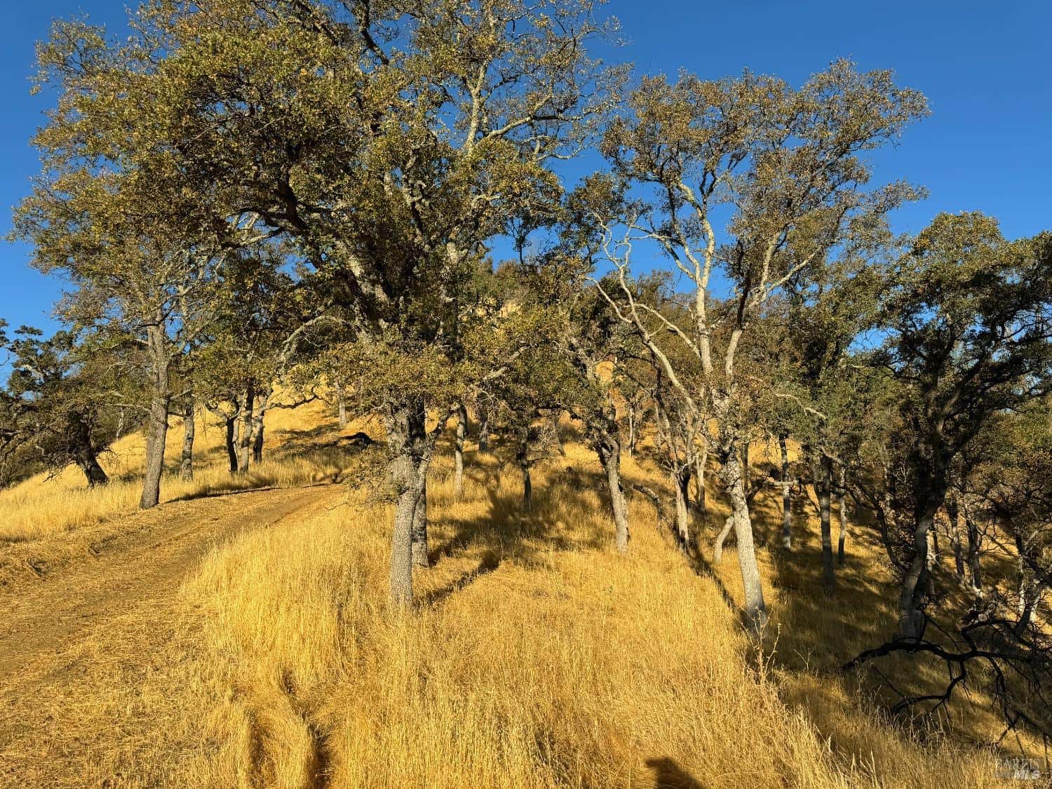 Napa CA Hunting Land for Sale