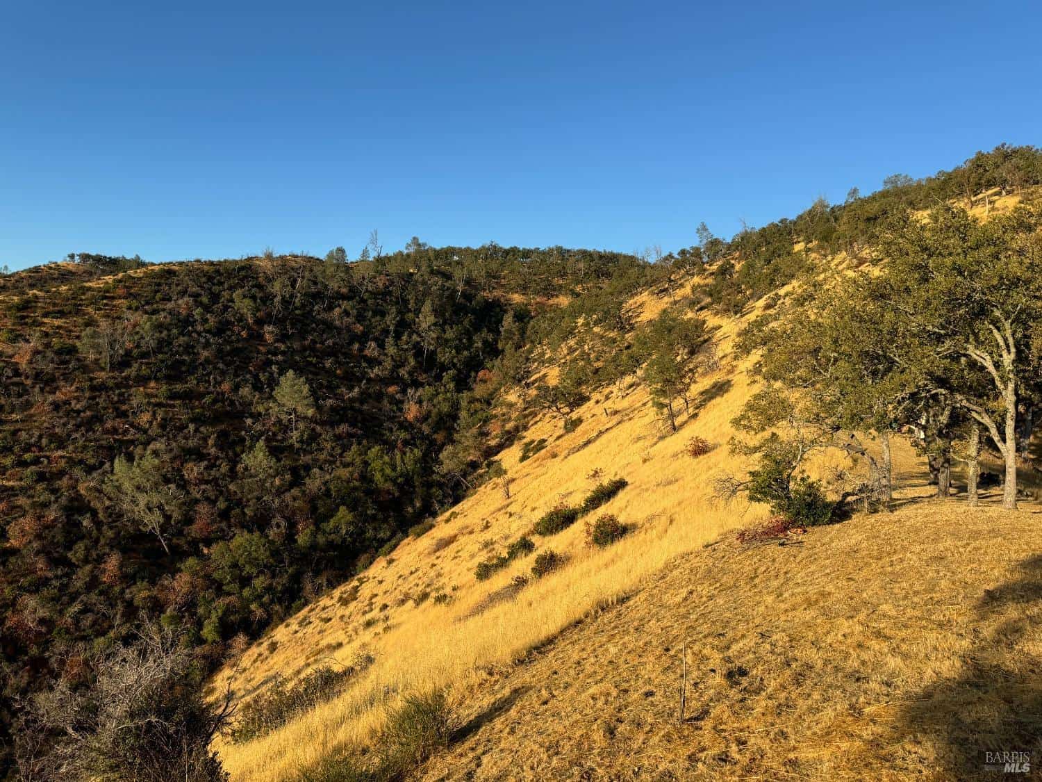 Napa CA Hunting Land for Sale