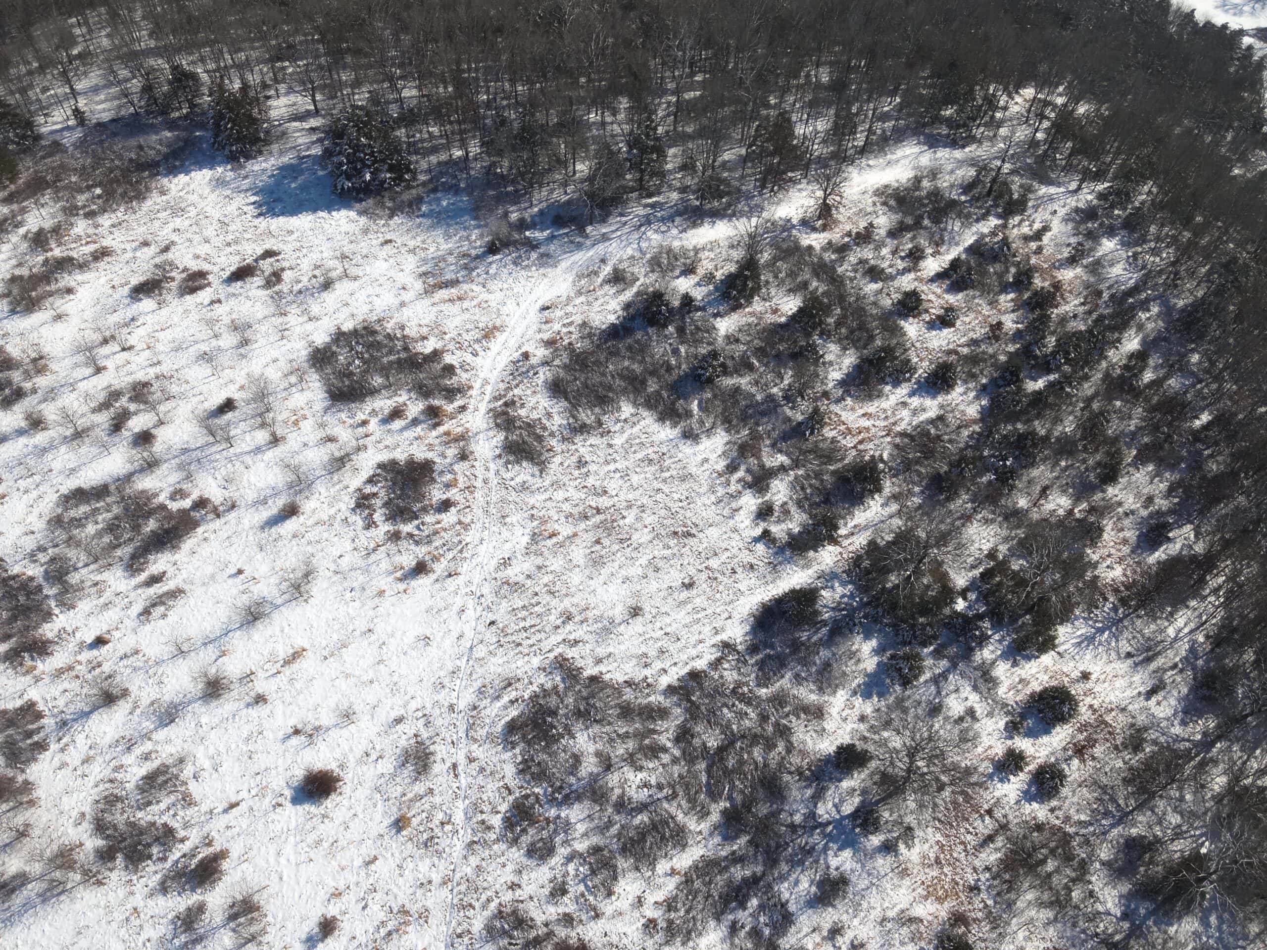 Cattle Farm with Hunting Opportunities in Dixon, MO