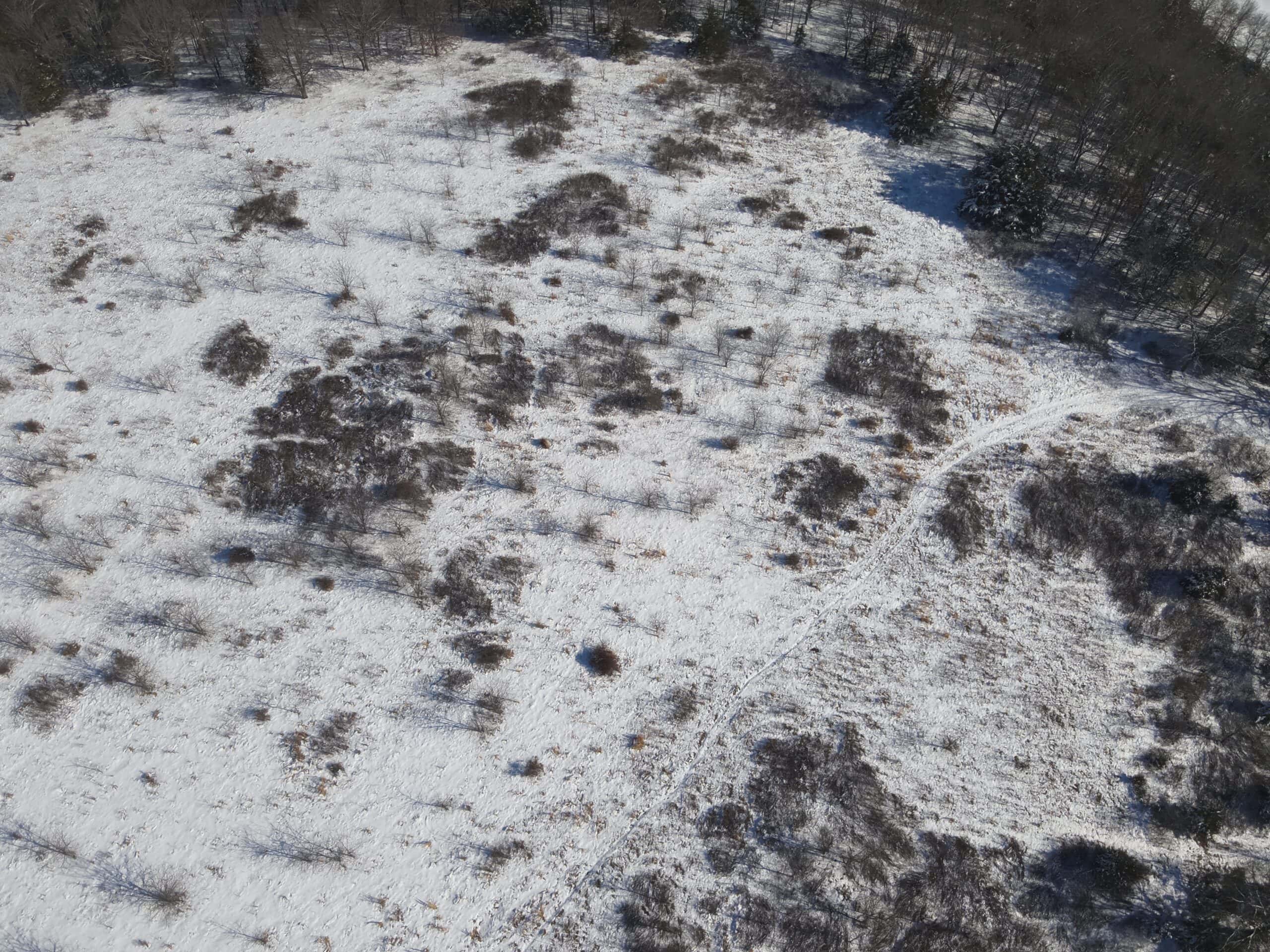 Cattle Farm with Hunting Opportunities in Dixon, MO
