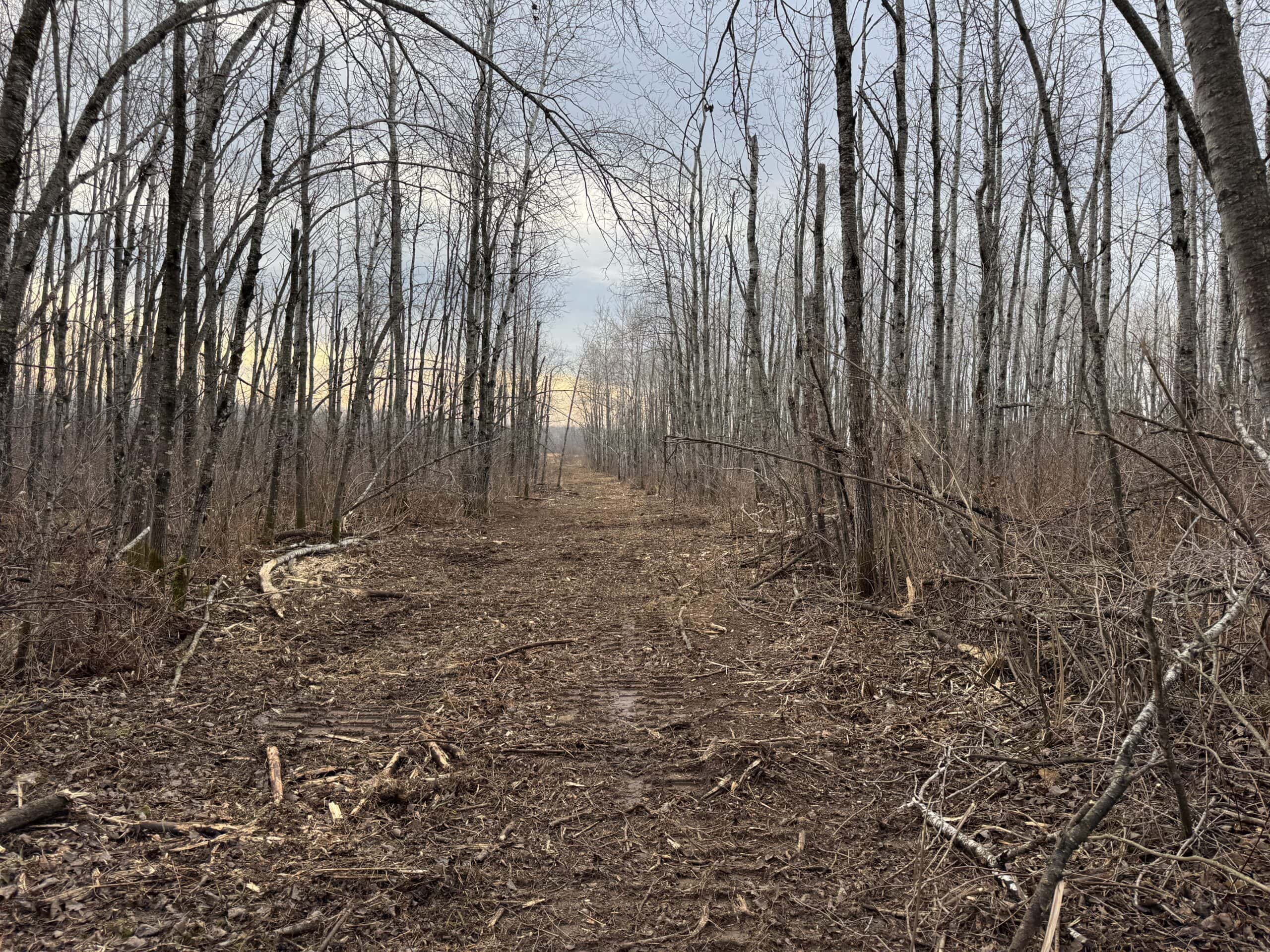80 Acres of Building/Camping Land For Sale in Sandstone MN