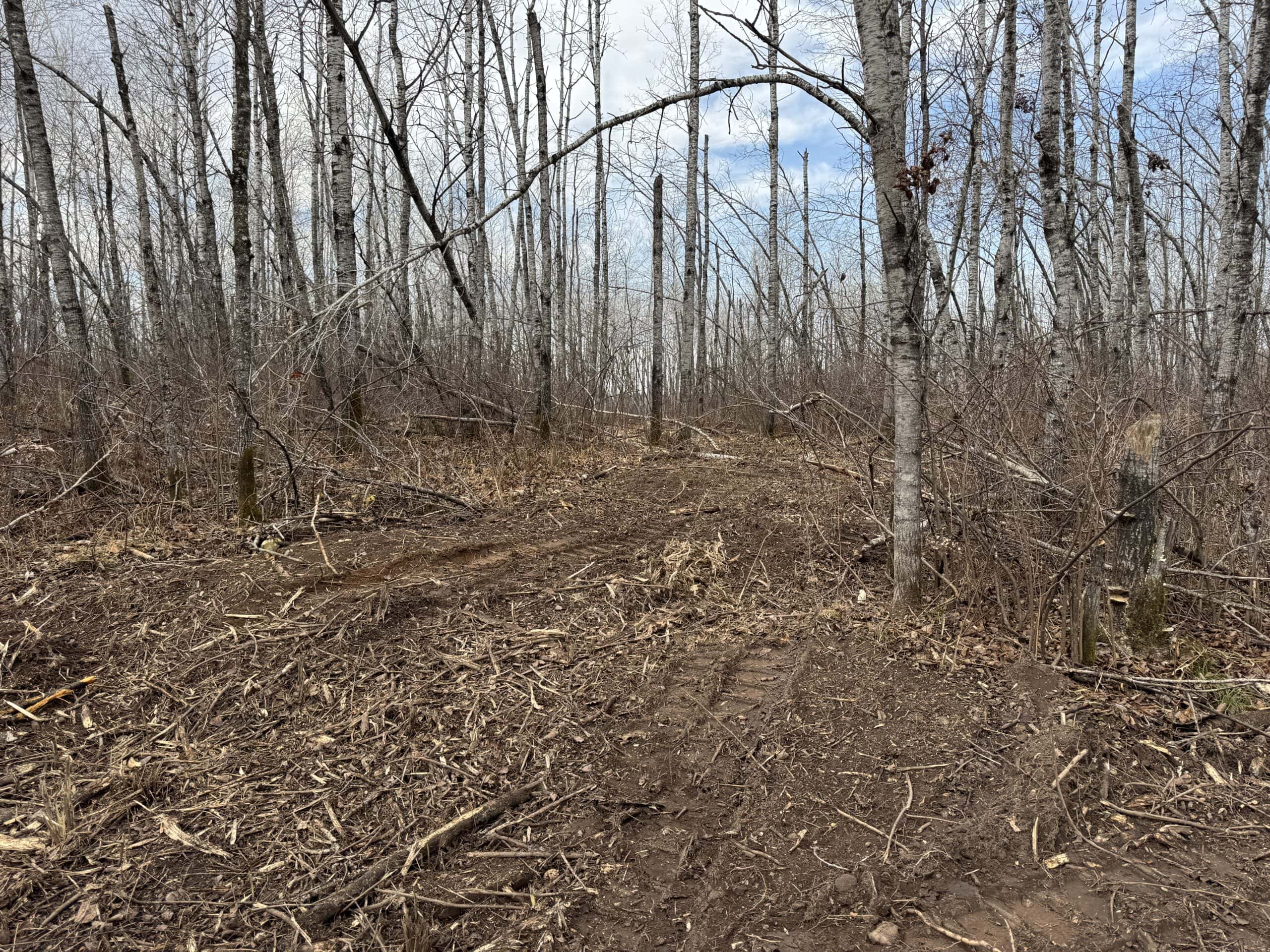 80 Acres of Building/Camping Land For Sale in Sandstone MN