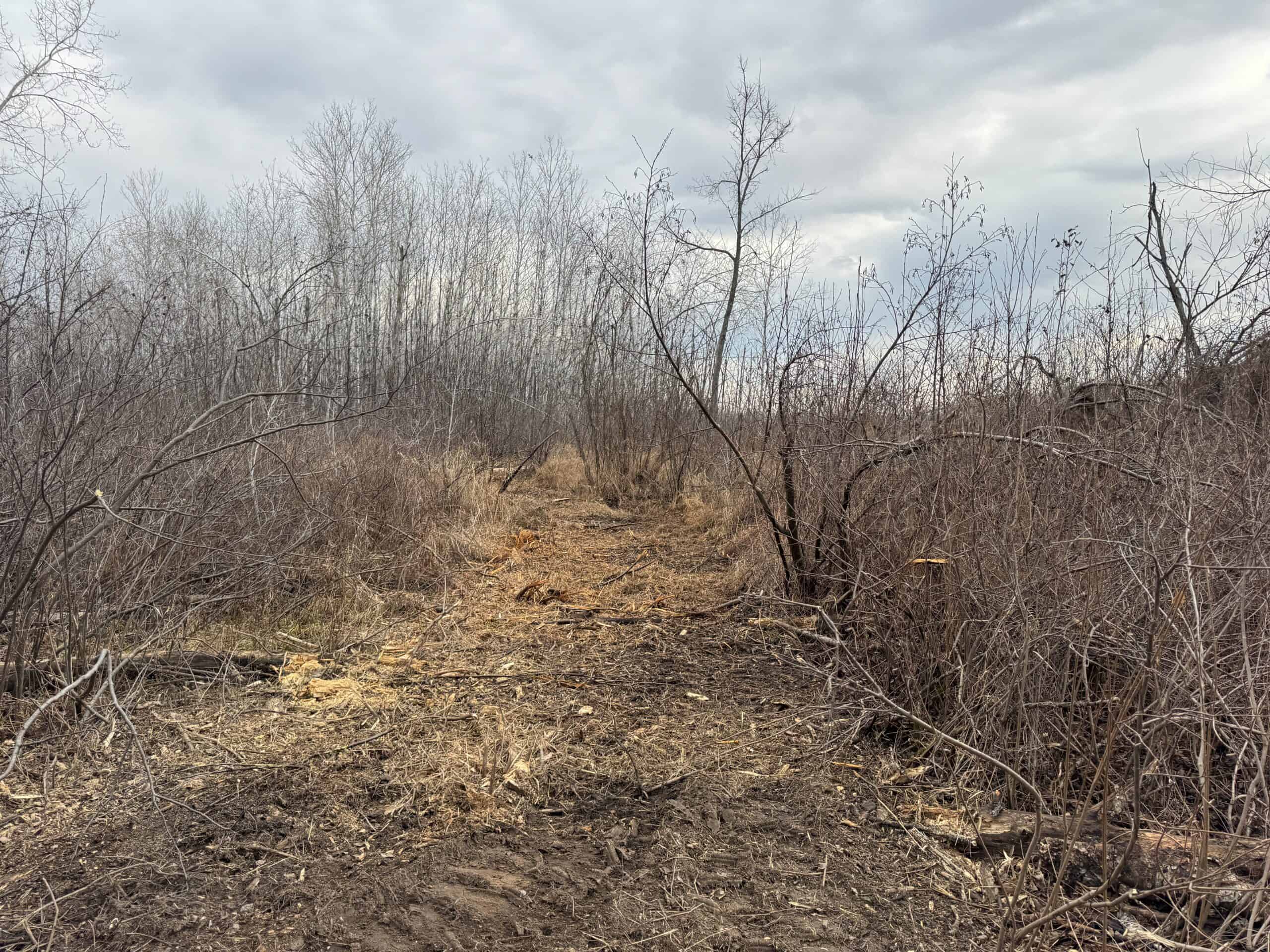 80 Acres of Building/Camping Land For Sale in Sandstone MN