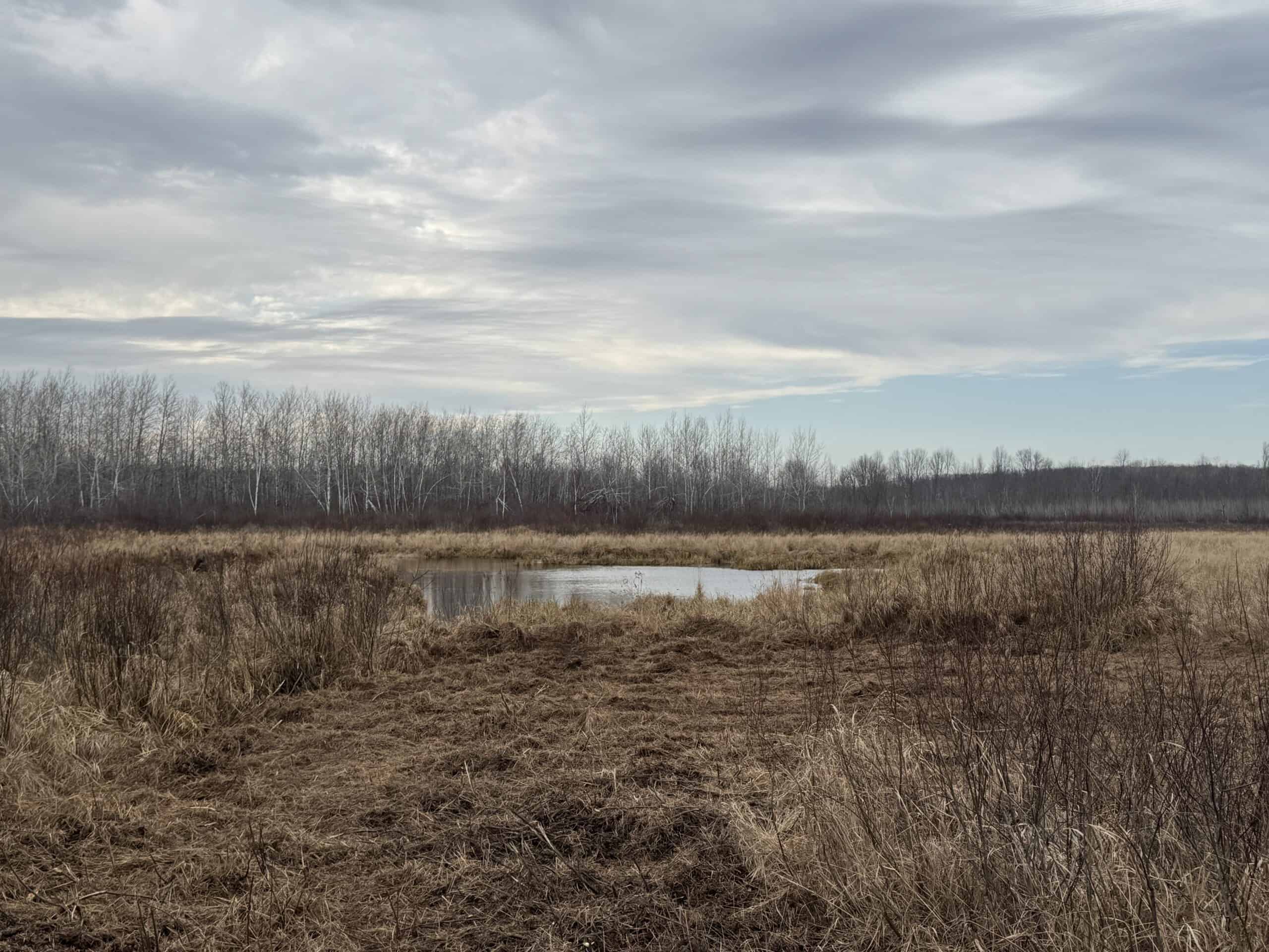 80 Acres of Building/Camping Land For Sale in Sandstone MN