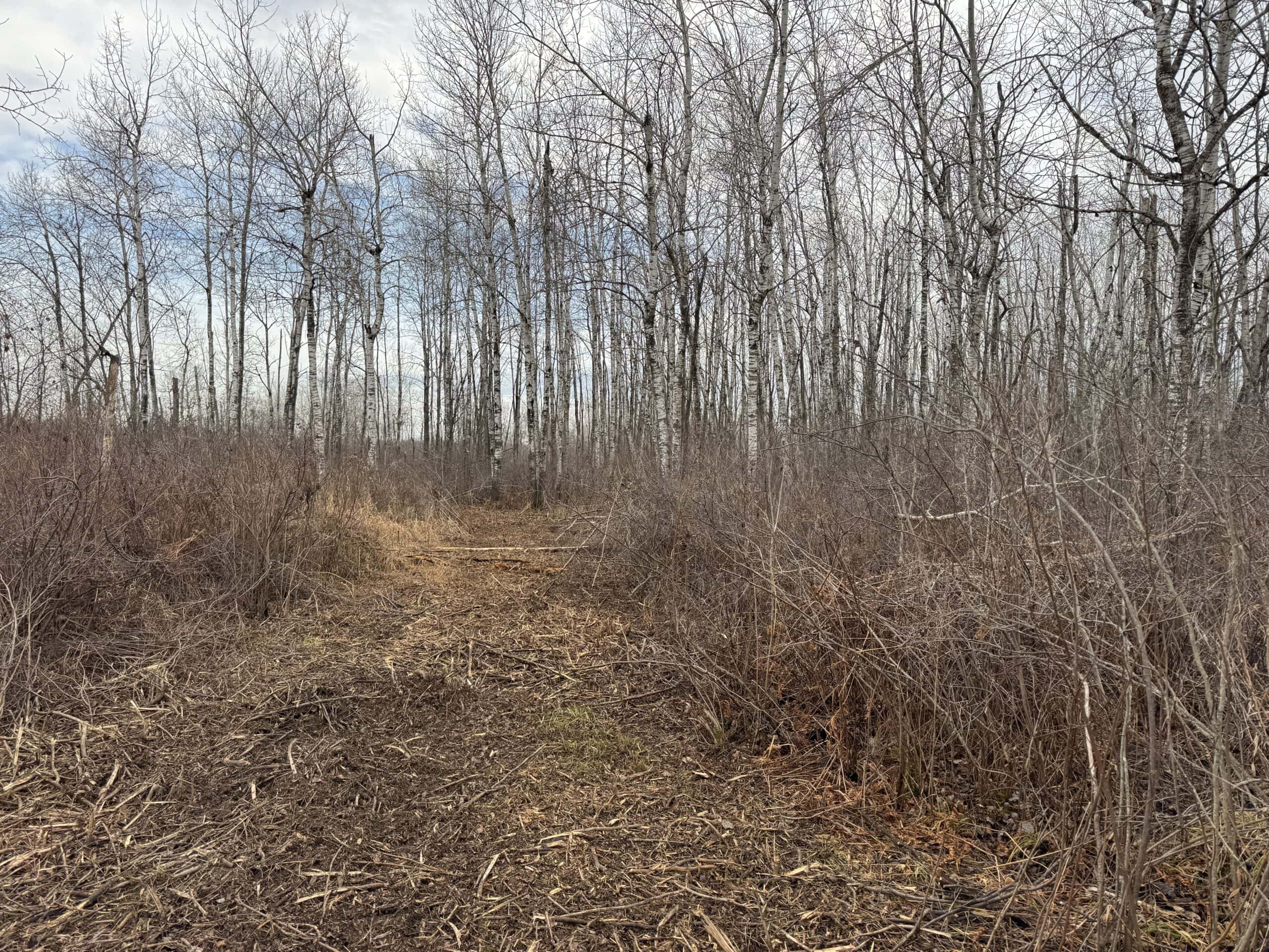 80 Acres of Building/Camping Land For Sale in Sandstone MN