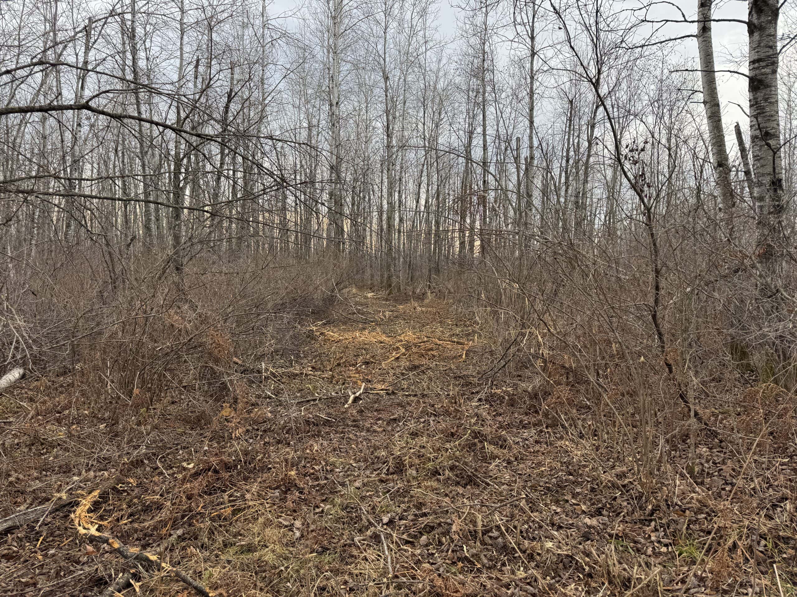 80 Acres of Building/Camping Land For Sale in Sandstone MN