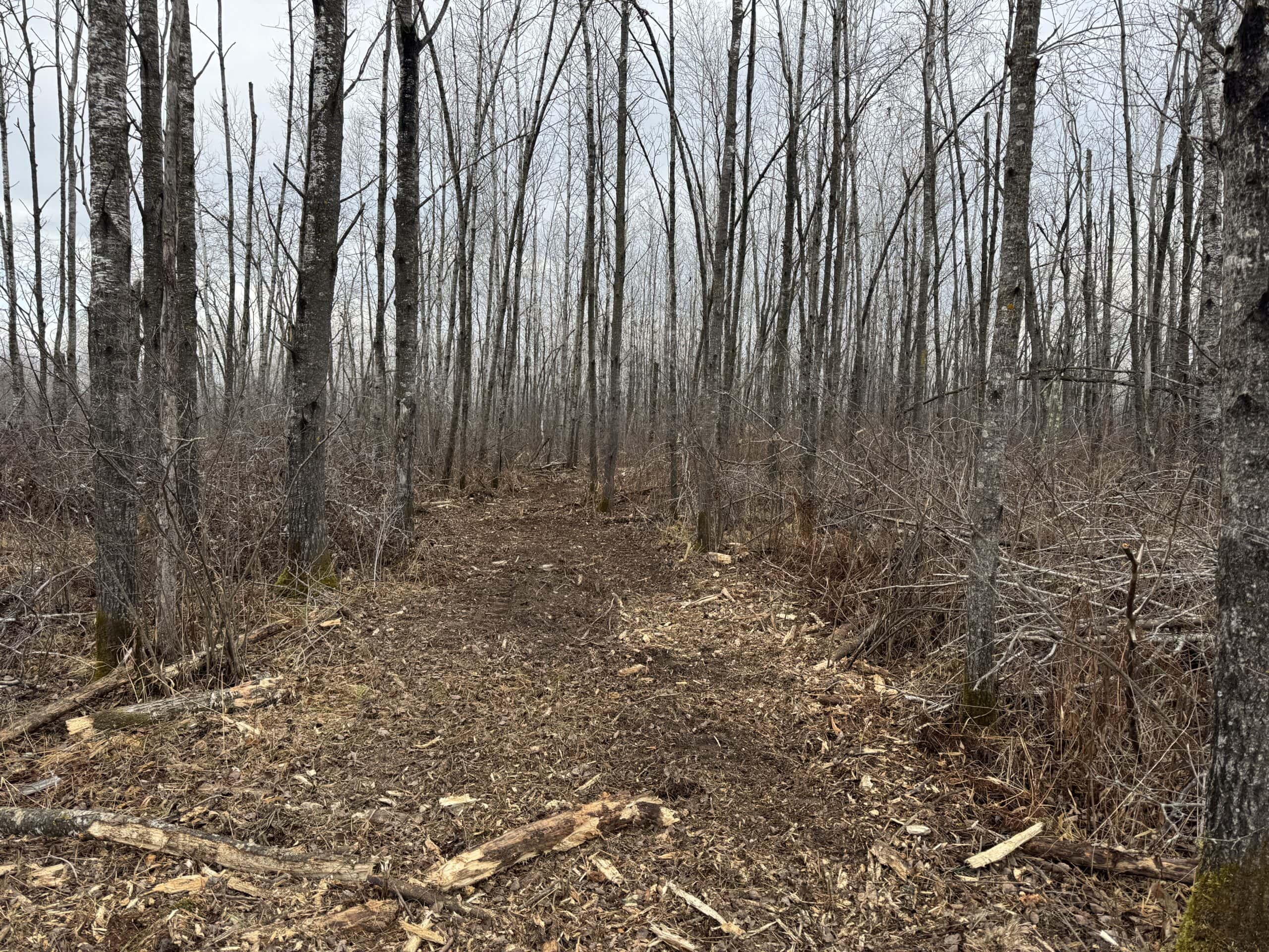 80 Acres of Building/Camping Land For Sale in Sandstone MN