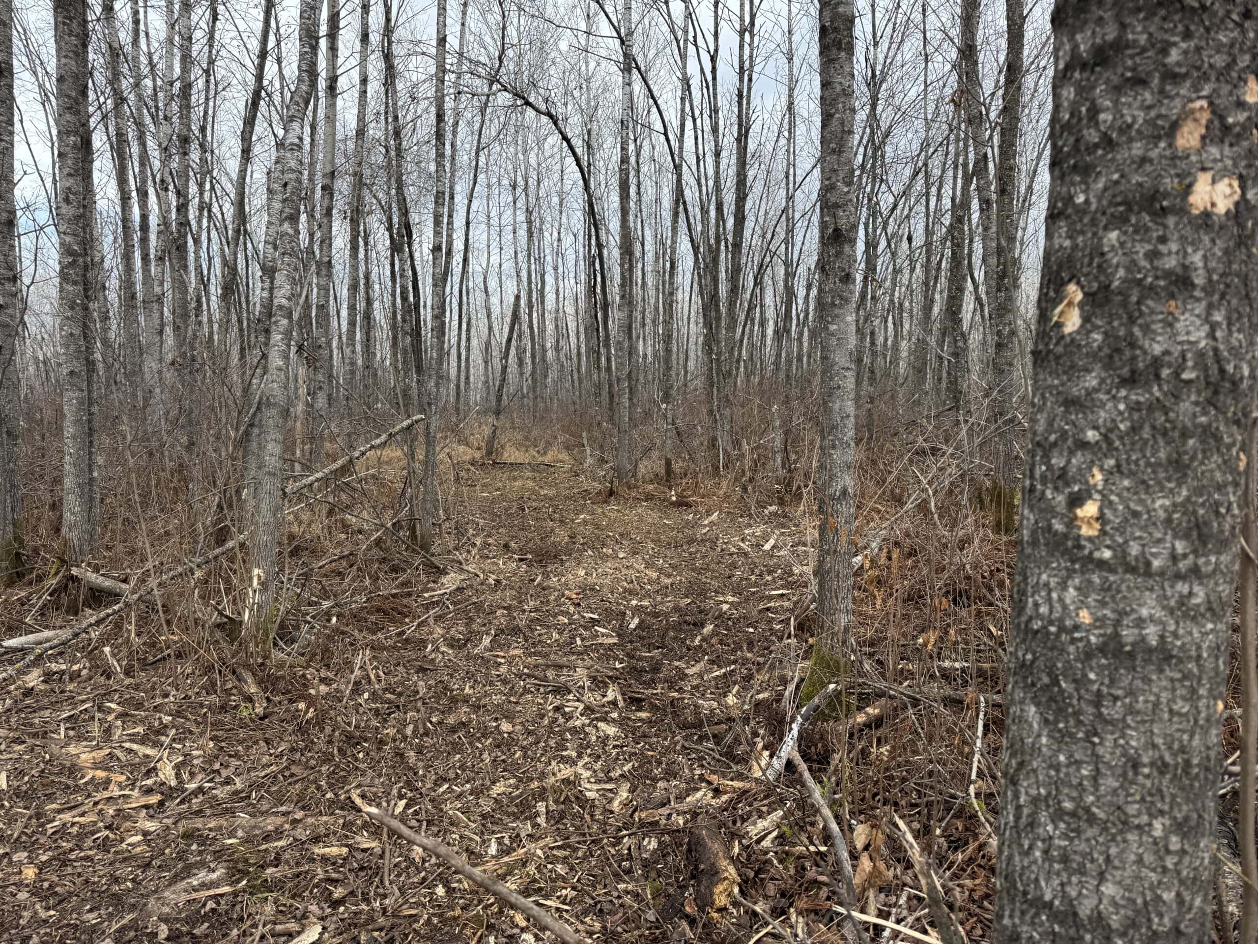 80 Acres of Building/Camping Land For Sale in Sandstone MN