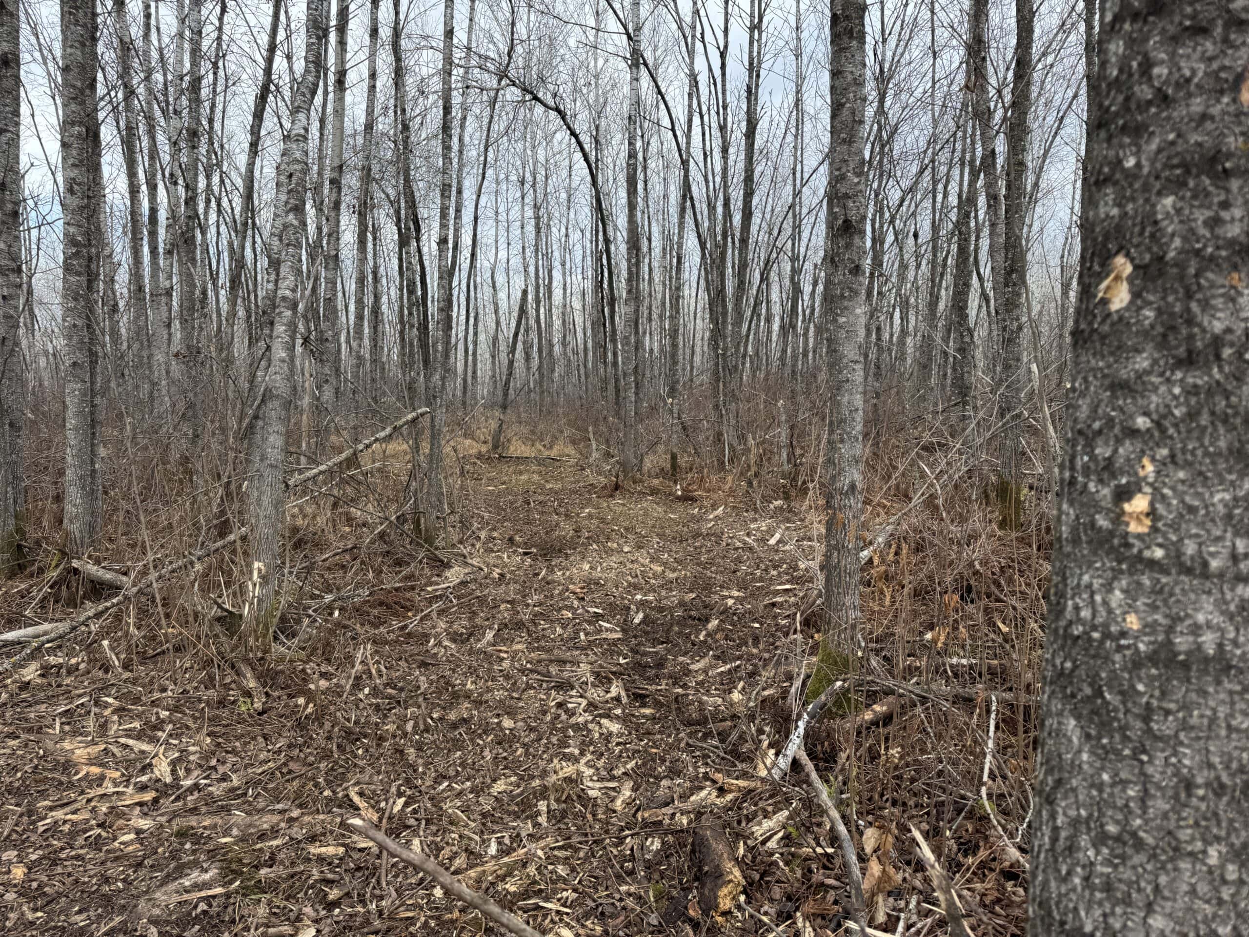80 Acres of Building/Camping Land For Sale in Sandstone MN