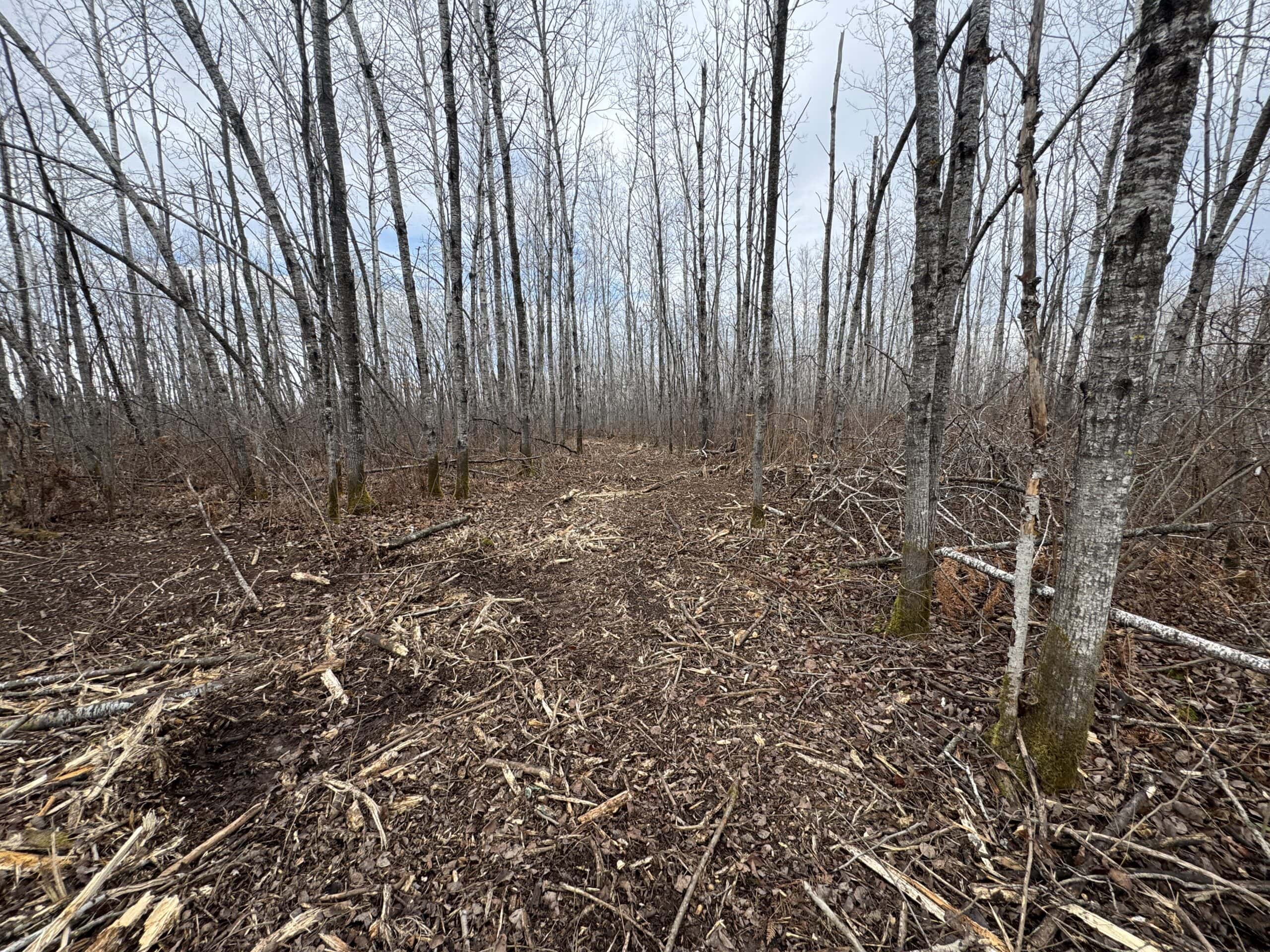 80 Acres of Building/Camping Land For Sale in Sandstone MN