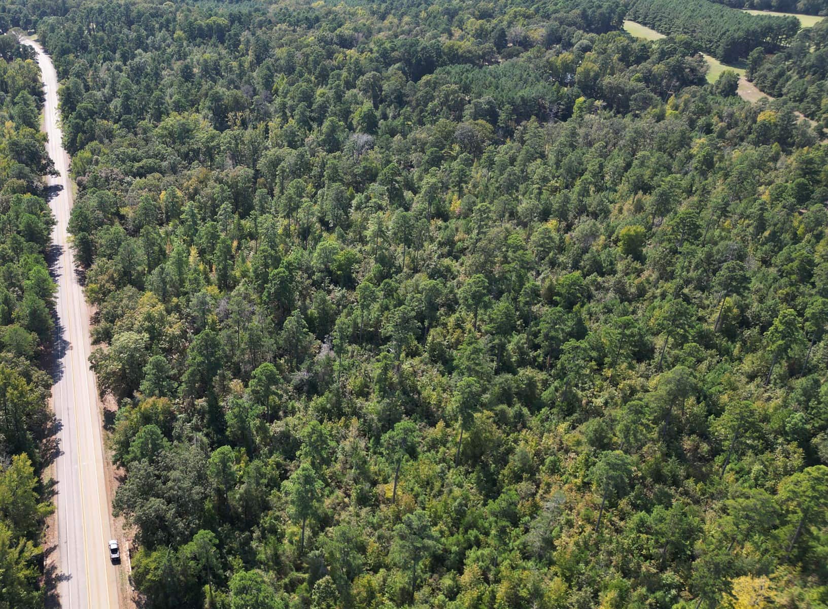 Land For Sale In Cass County Bivins, Texas