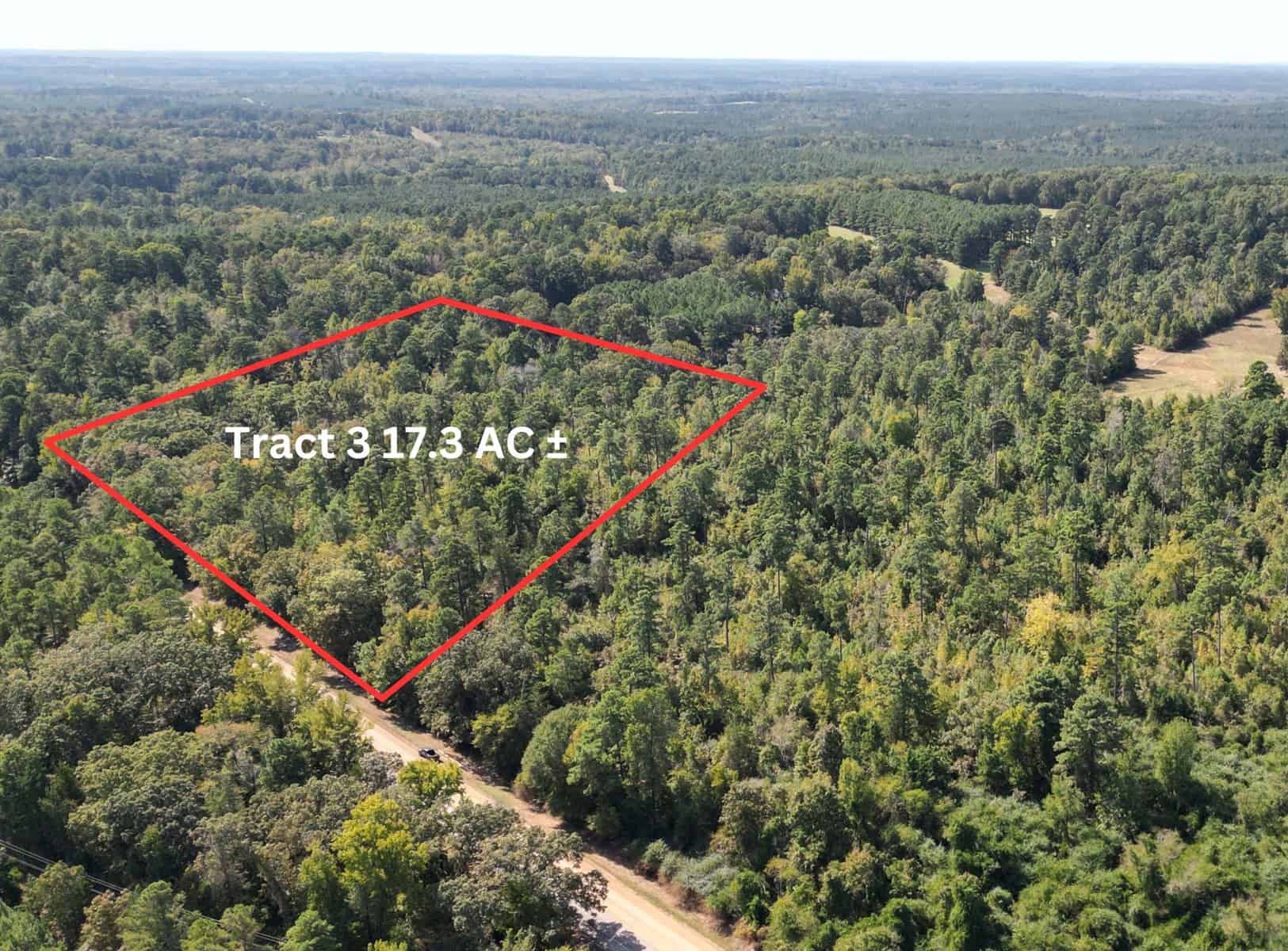 Land For Sale In Cass County Bivins, Texas