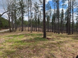 Hunting Land and Mountain Property For Sale in Salem, SC