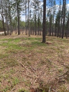 Hunting Land and Mountain Property For Sale in Salem, SC