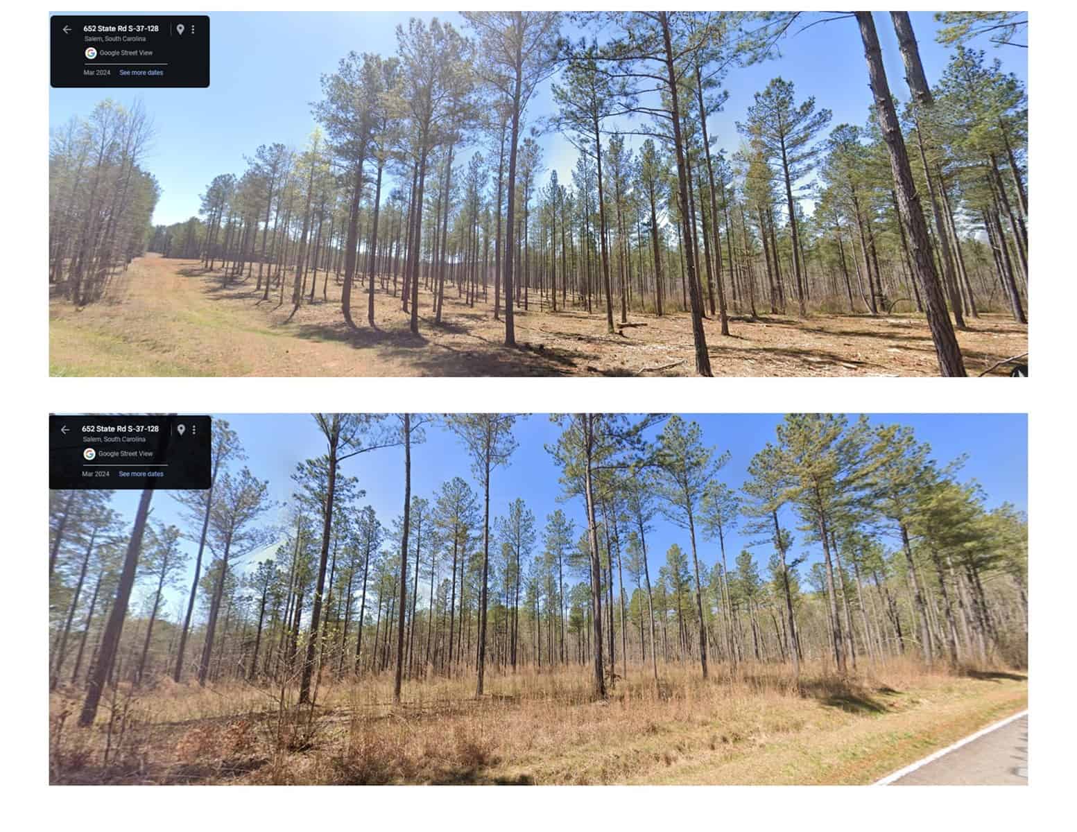 Hunting Land and Mountain Property For Sale in Salem, SC