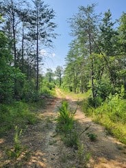 Hunting Land For Sale Upstate South Carolina