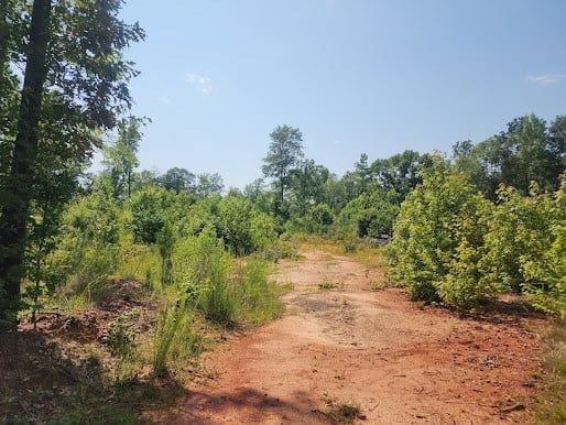 Hunting Land For Sale Upstate South Carolina