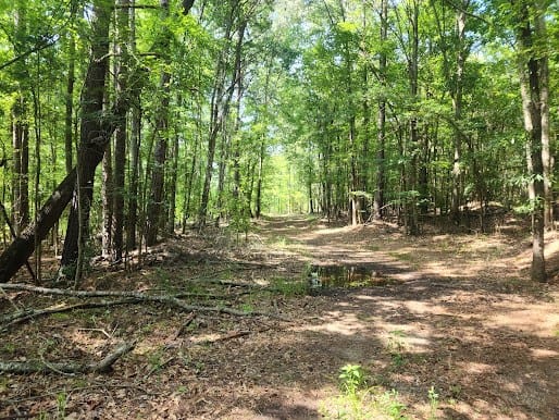 Hunting Land For Sale Upstate South Carolina