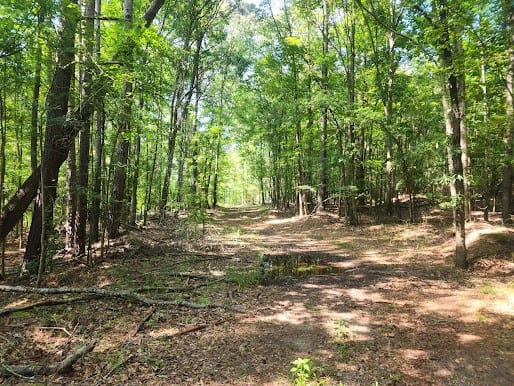 Hunting Land For Sale Upstate South Carolina