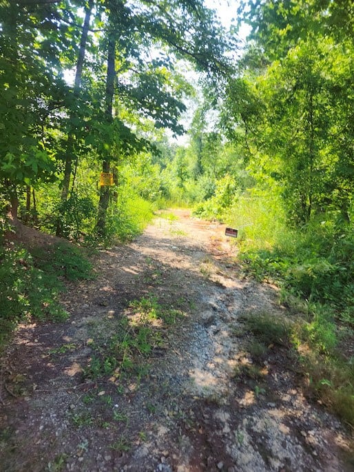 Hunting Land For Sale Upstate South Carolina