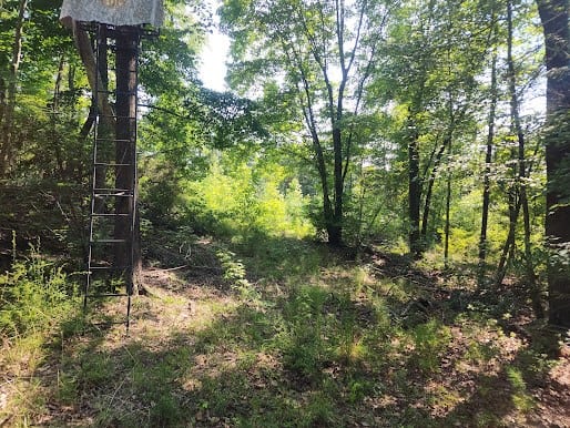 Hunting Land For Sale Upstate South Carolina