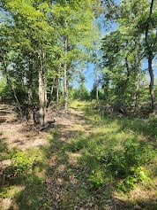 Hunting Land For Sale Upstate South Carolina