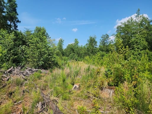 Hunting Land For Sale Upstate South Carolina