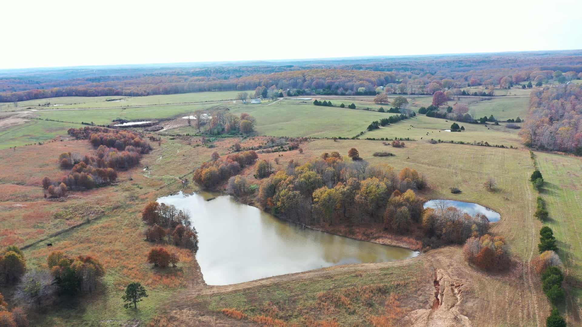 Cattle Farm with Farmhouse for Sale in Salem, Missouri