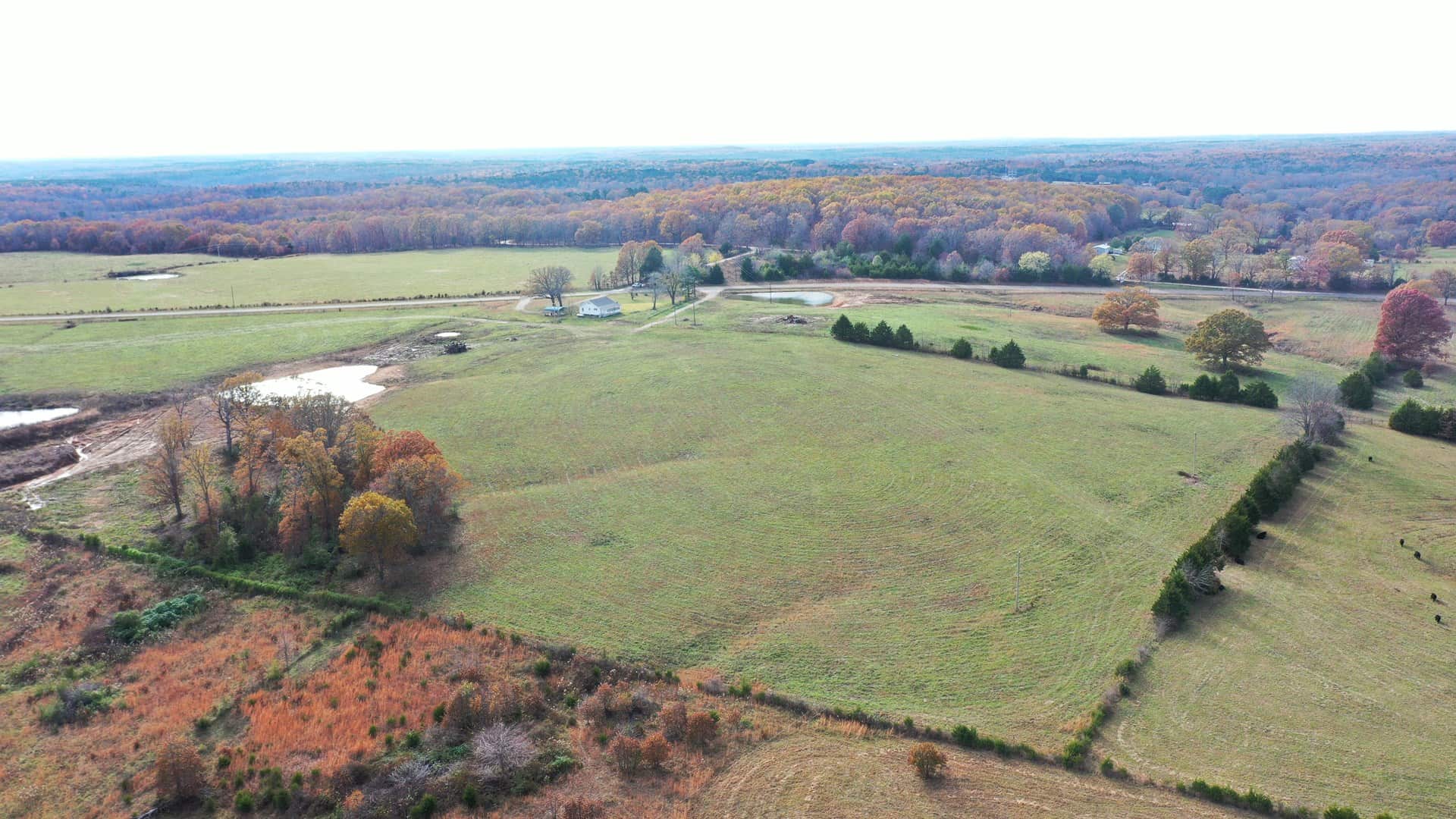 Cattle Farm with Farmhouse for Sale in Salem, Missouri