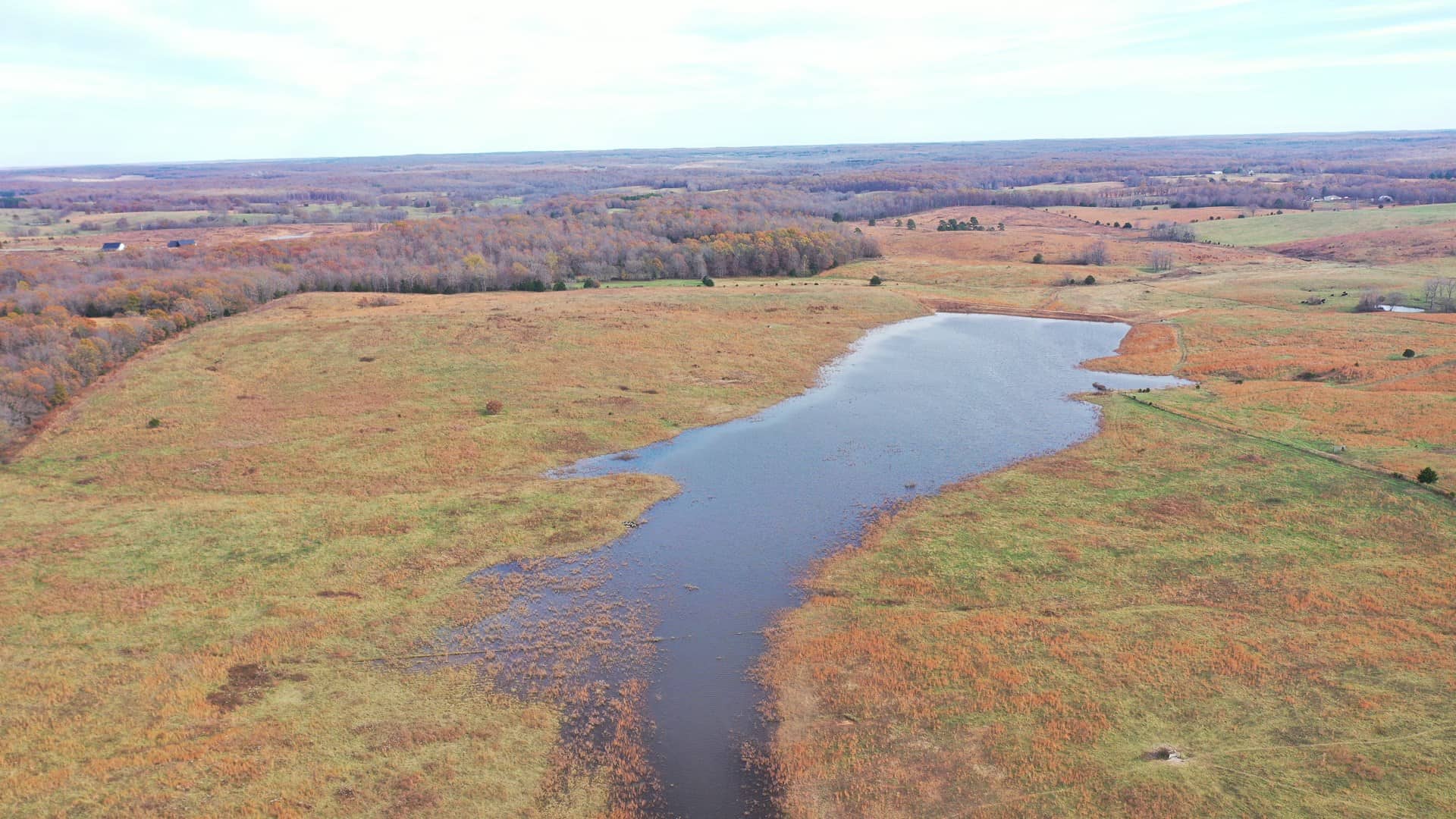 Cattle Farm with Farmhouse for Sale in Salem, Missouri