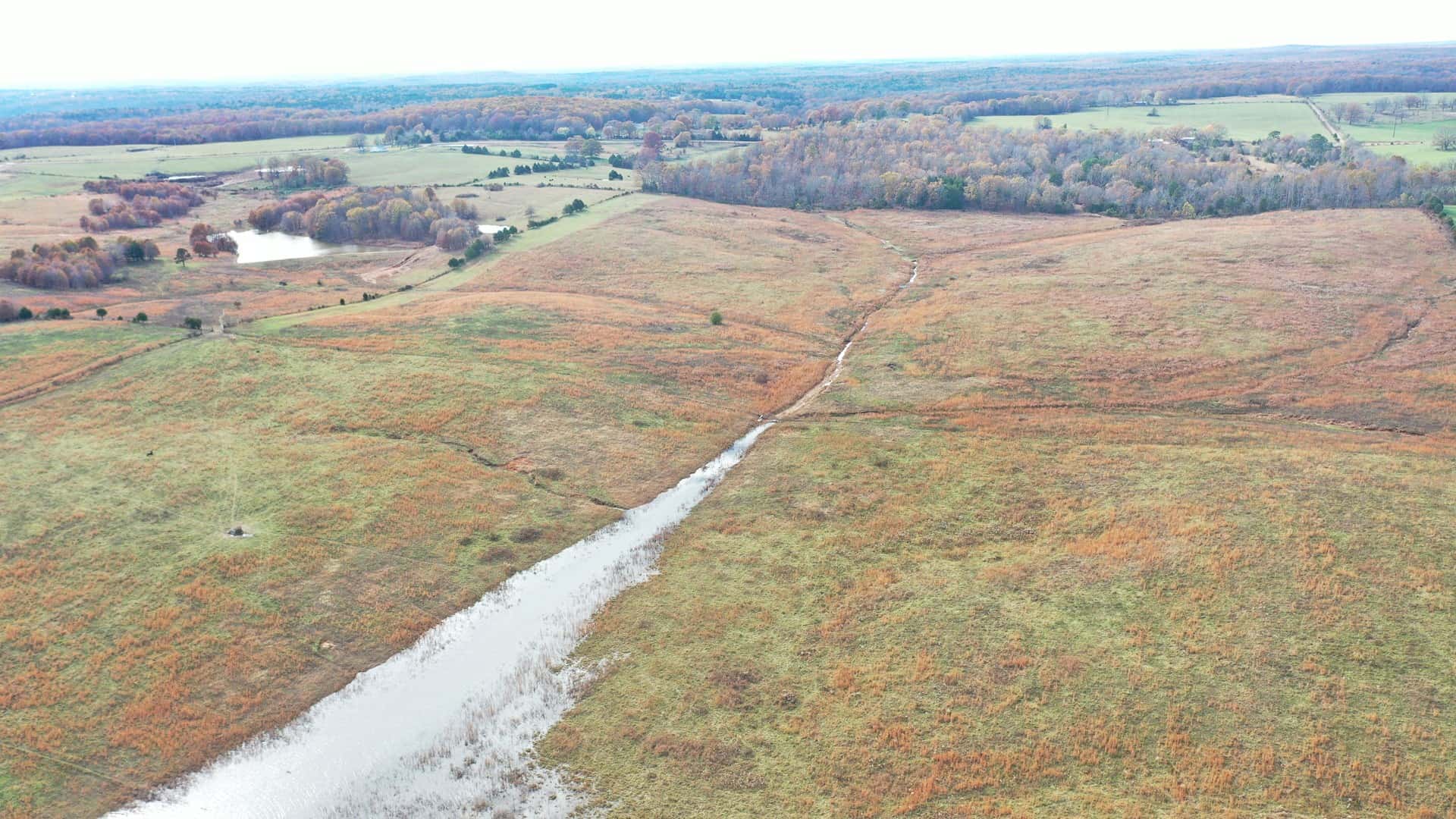 Cattle Farm with Farmhouse for Sale in Salem, Missouri