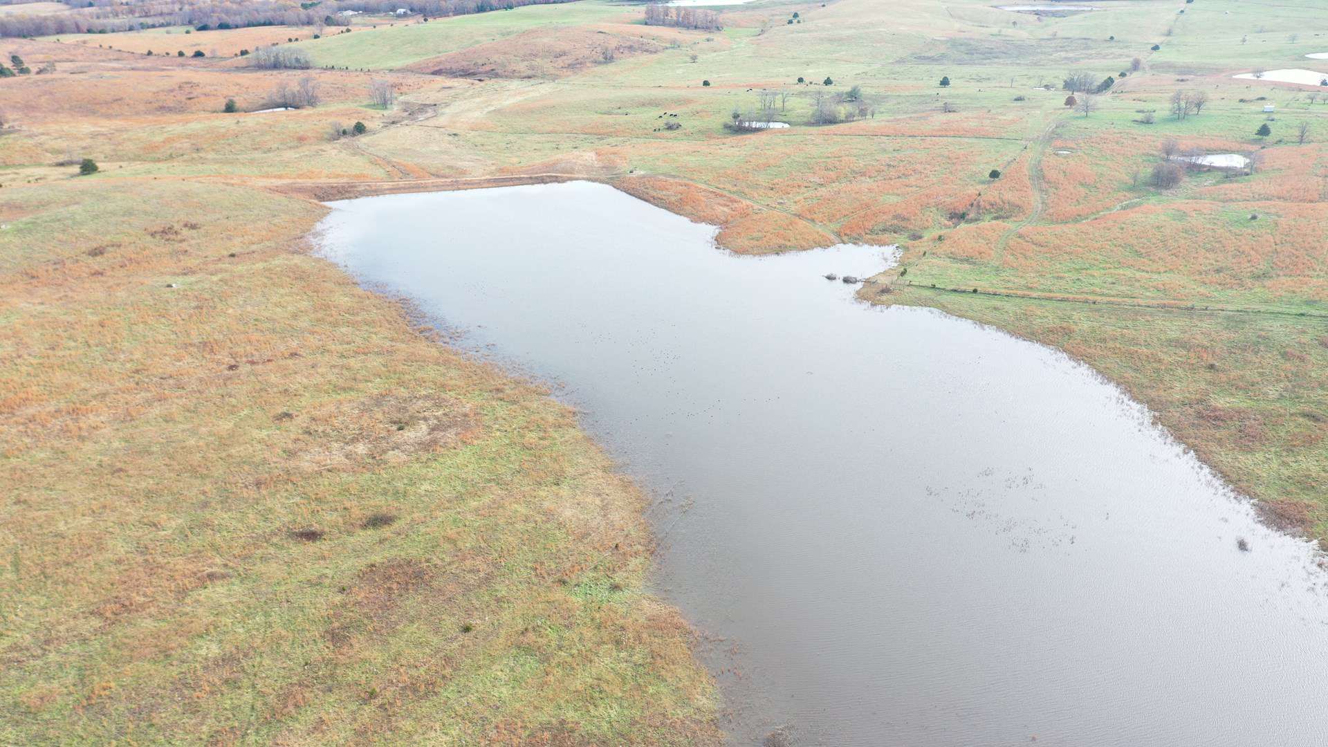 Cattle Farm with Farmhouse for Sale in Salem, Missouri