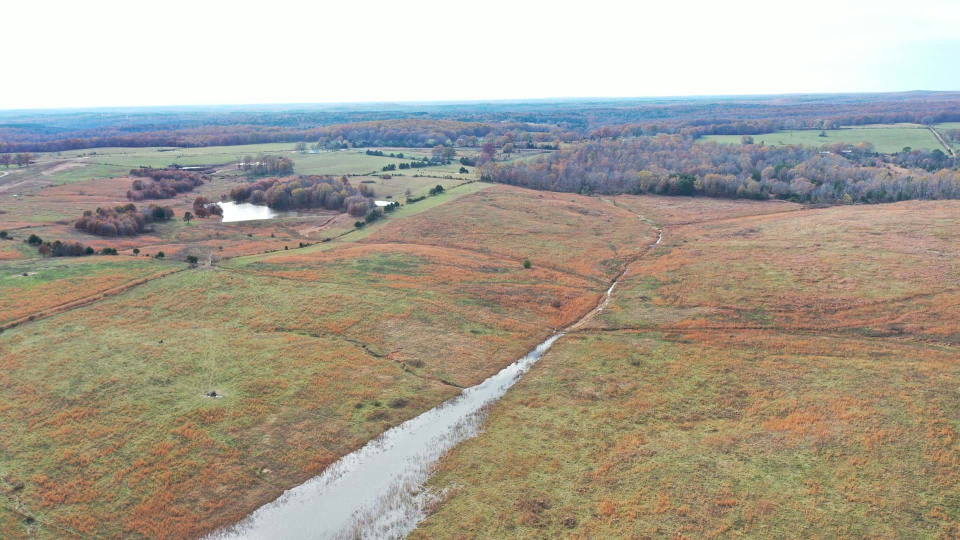 Cattle Farm with Farmhouse for Sale in Salem, Missouri