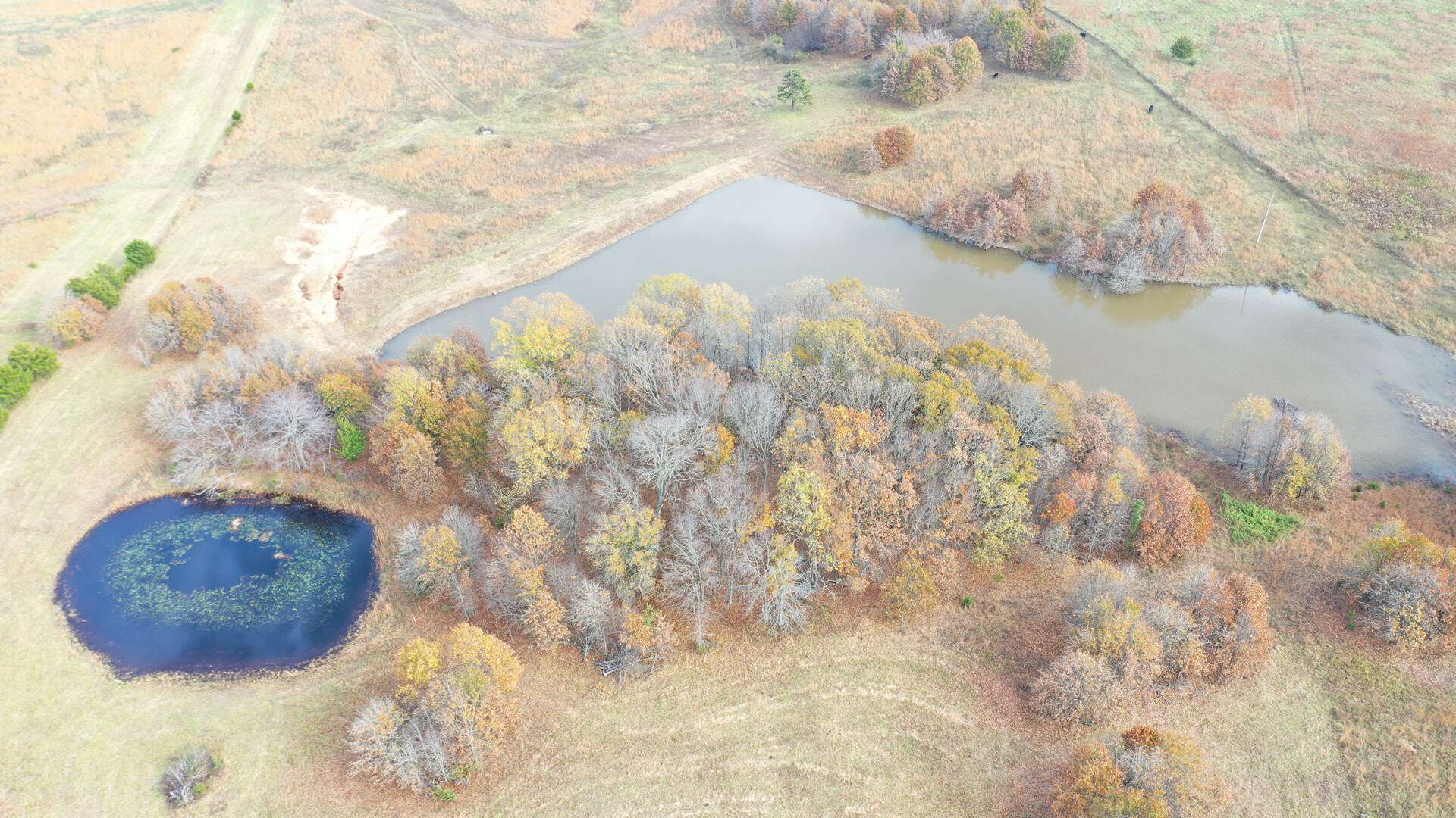Cattle Farm with Farmhouse for Sale in Salem, Missouri