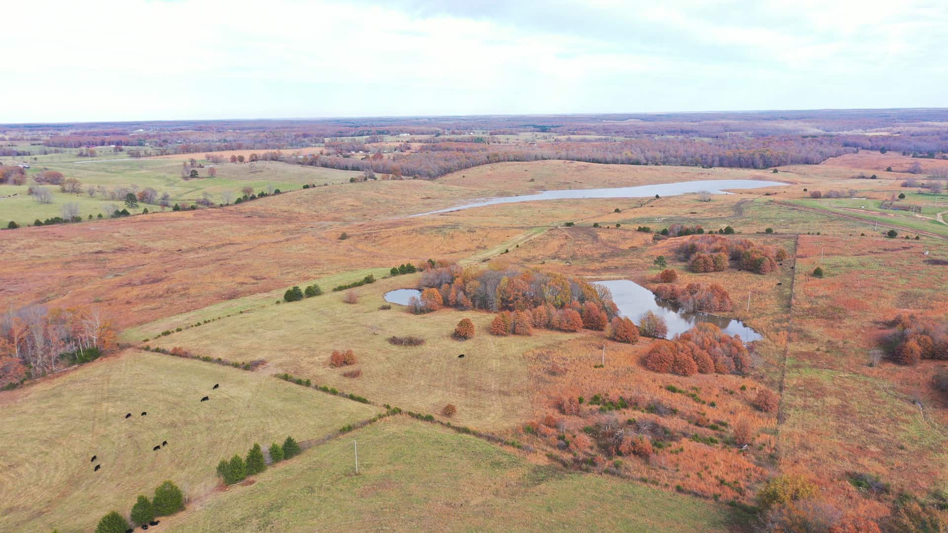 Cattle Farm with Farmhouse for Sale in Salem, Missouri