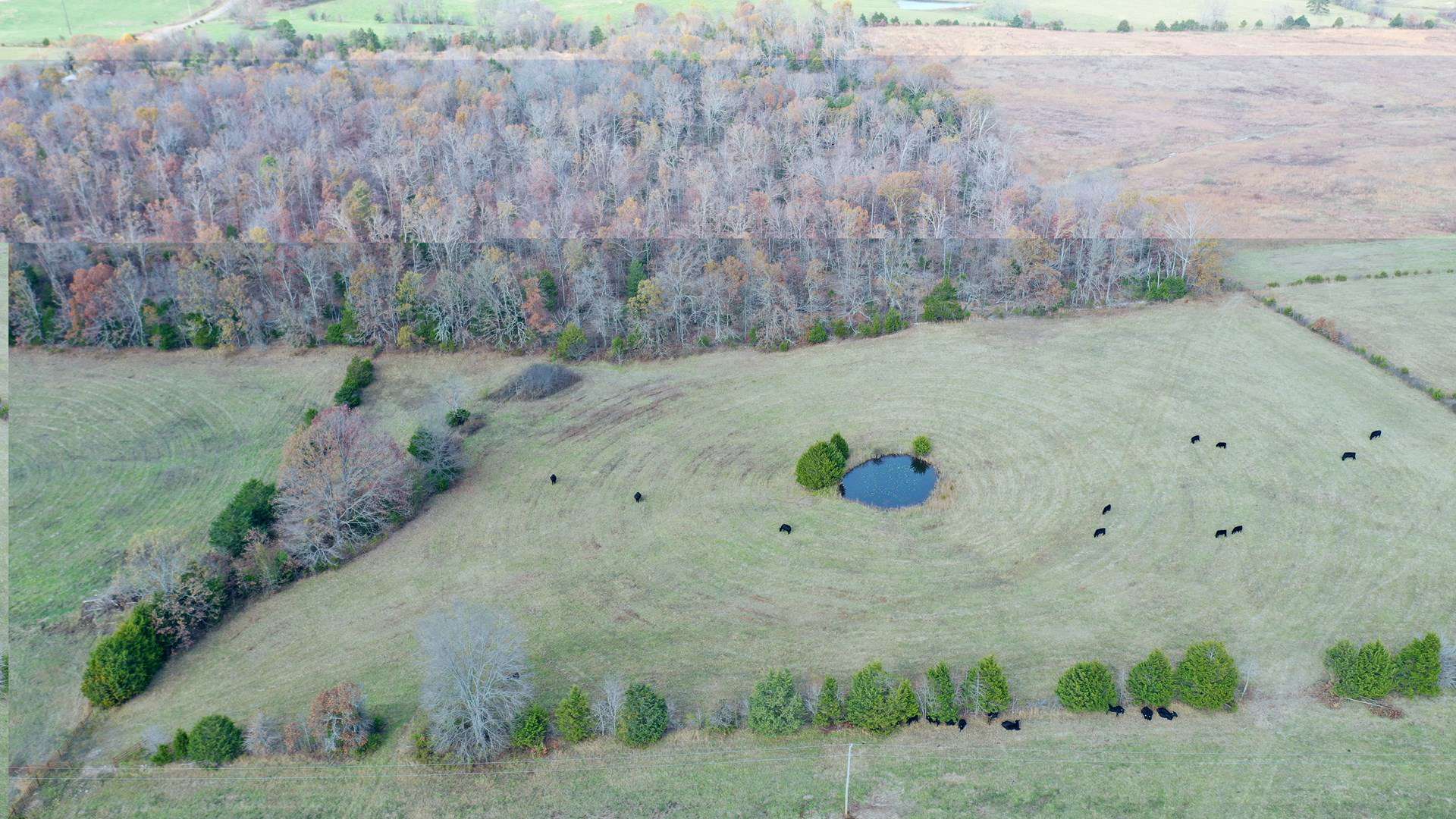 Cattle Farm with Farmhouse for Sale in Salem, Missouri