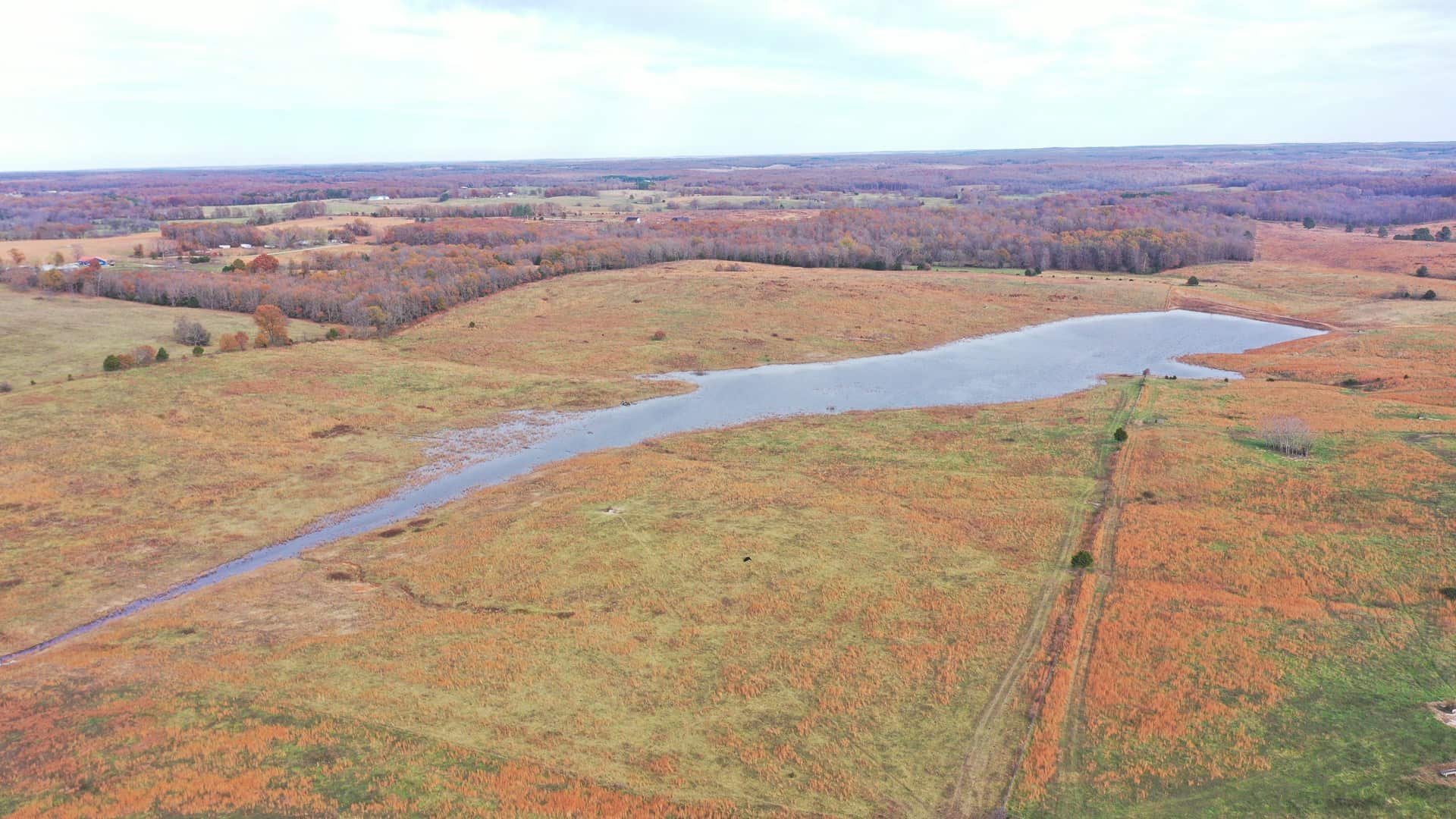 Cattle Farm with Farmhouse for Sale in Salem, Missouri
