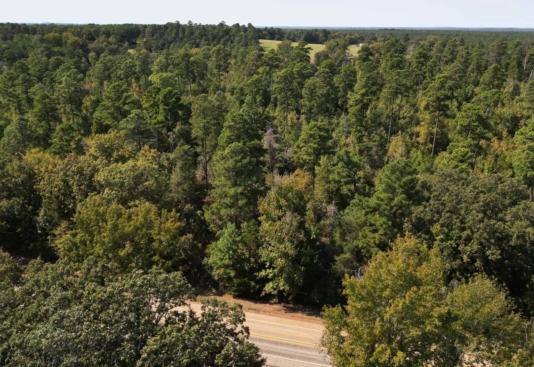 LAND FOR SALE IN CASS COUNTY BIVINS, TEXAS
