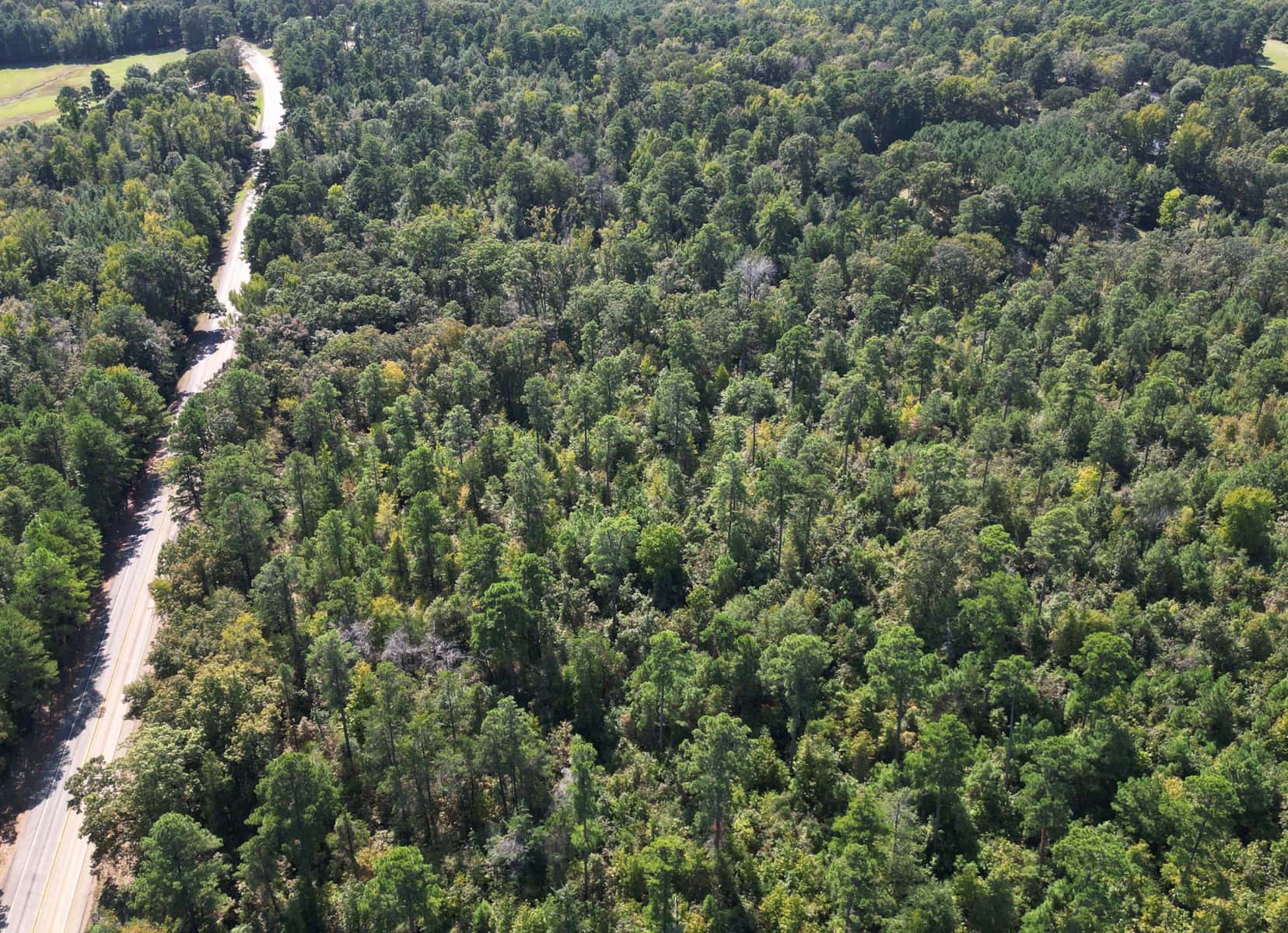 Prime Land For Sale In Cass County Bivins, Texas