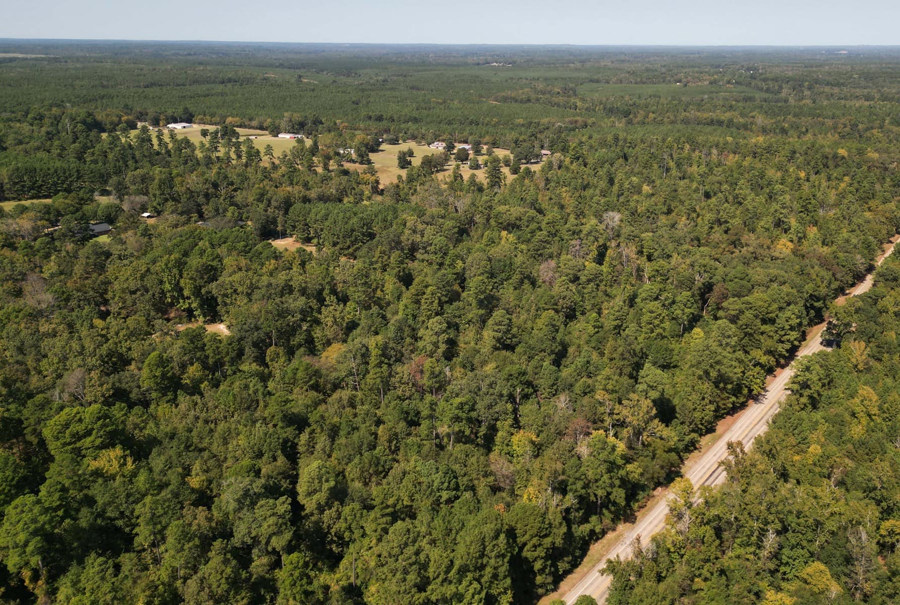 Land For Sale In Cass County Bivins, Texas