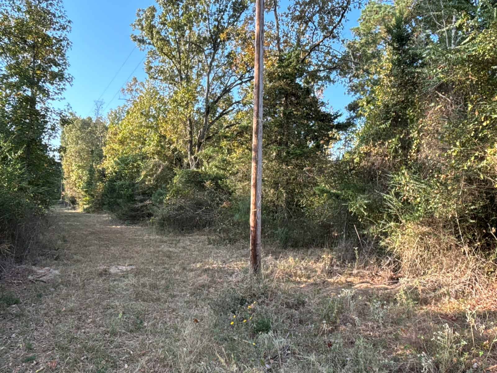 Prime Land For Sale In Cass County Bivins, Texas