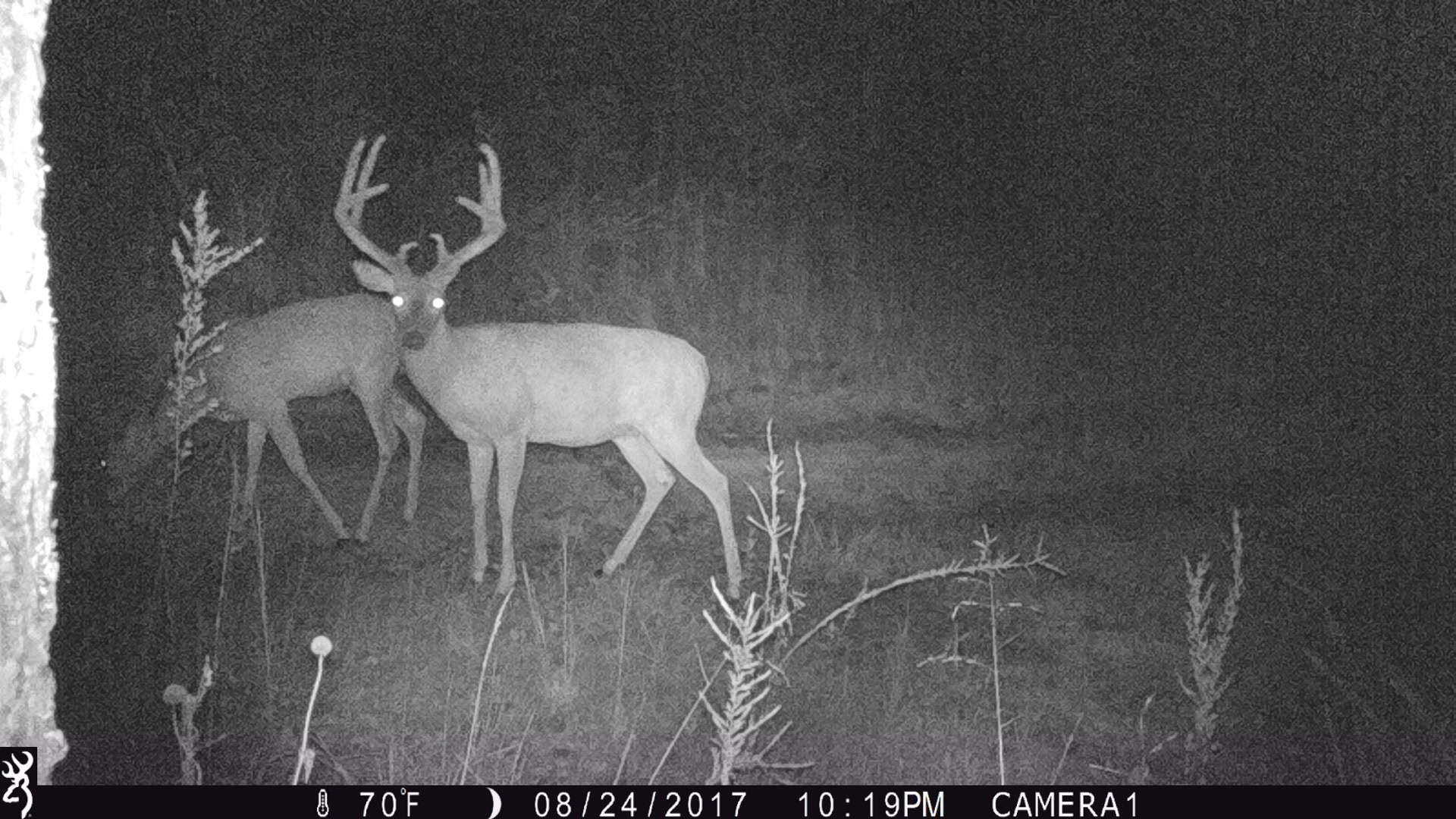 One of a kind Hunting Ranch Sequoyah County Oklahoma