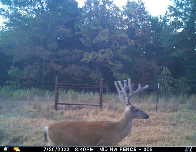 One of a kind Hunting Ranch Sequoyah County Oklahoma