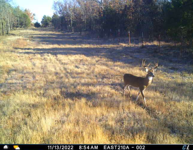 One of a kind Hunting Ranch Sequoyah County Oklahoma